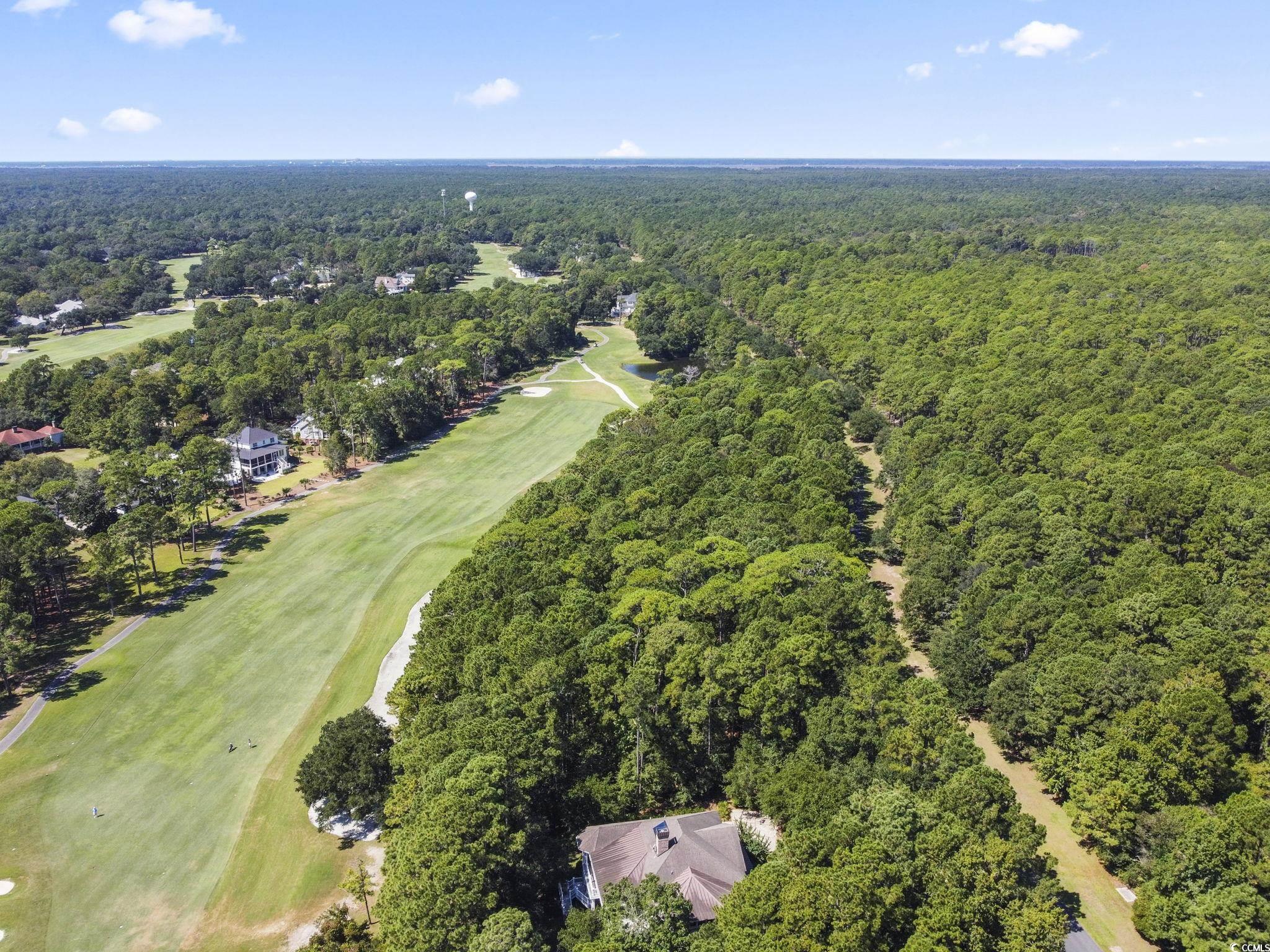 Lot 305 Wallace Pate Dr. Property Photo 11