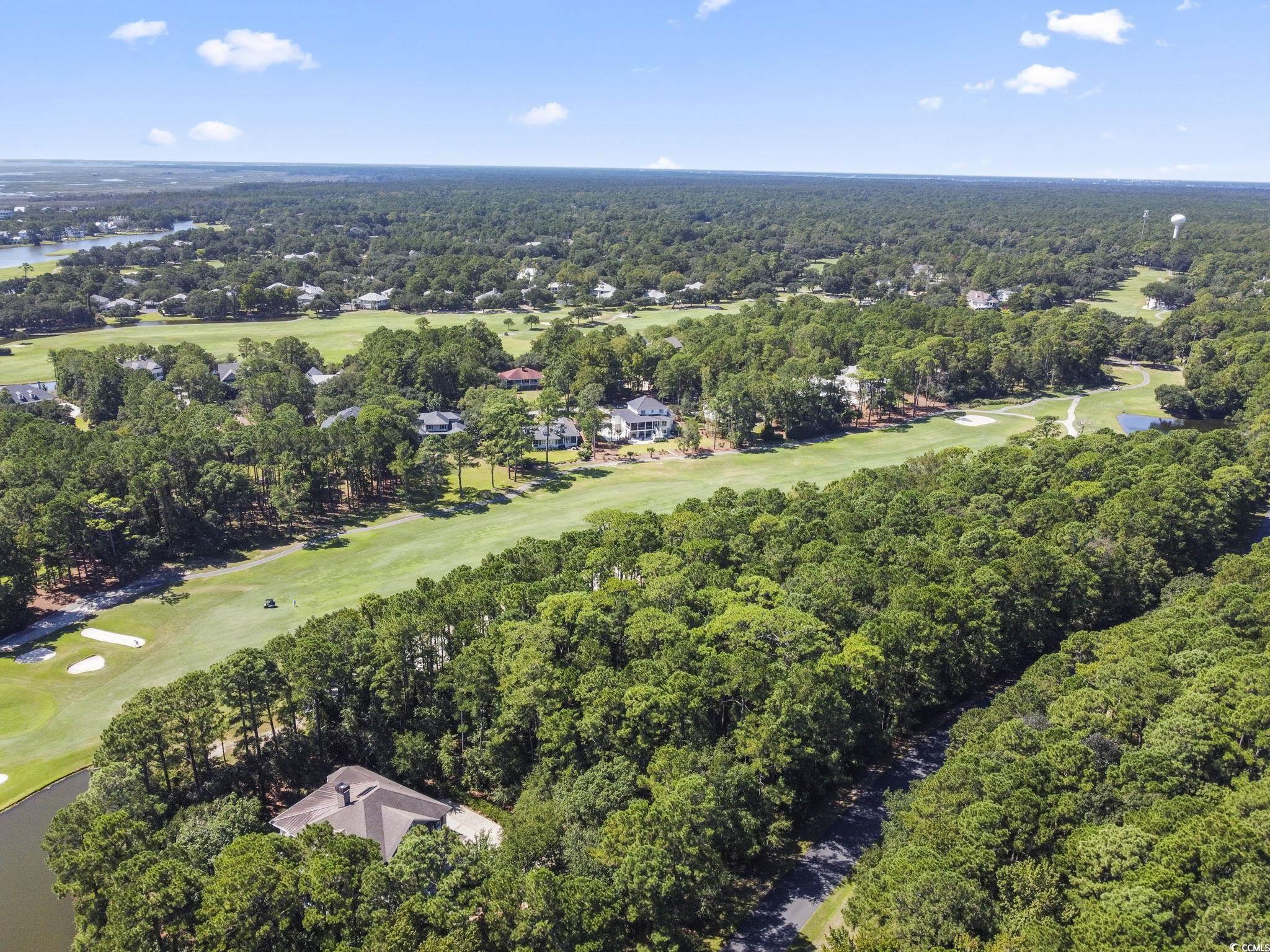 Lot 305 Wallace Pate Dr. Property Photo 12