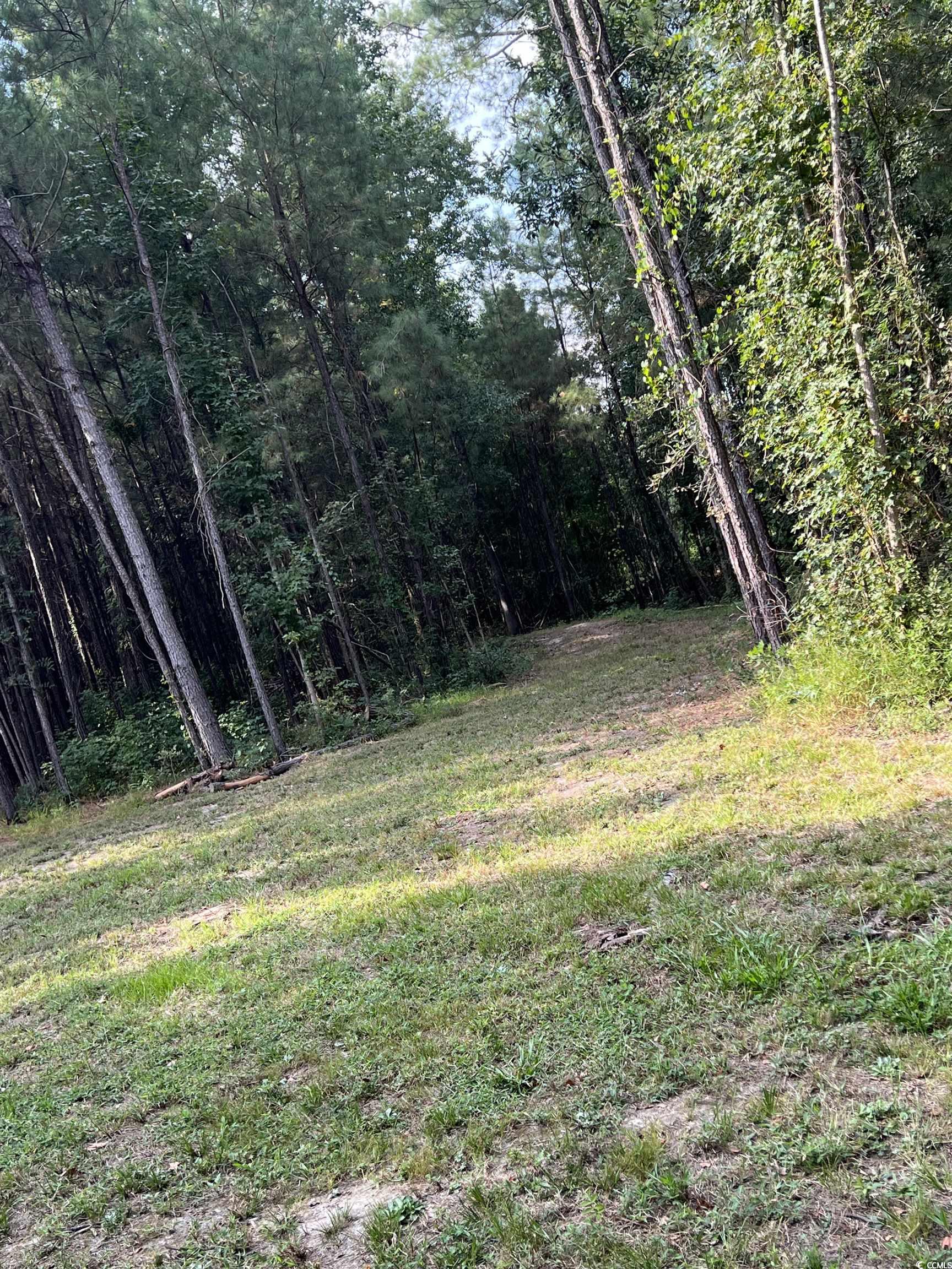 Tbd Oglethorpe Dr. Property Photo 1