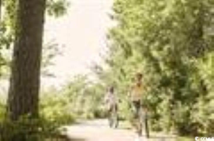 6045 Zoe Way Property Photo 23