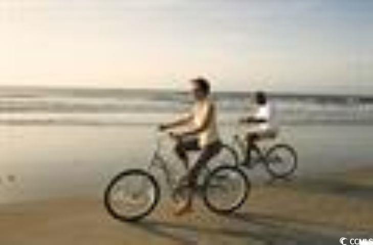 6045 Zoe Way Property Photo 24