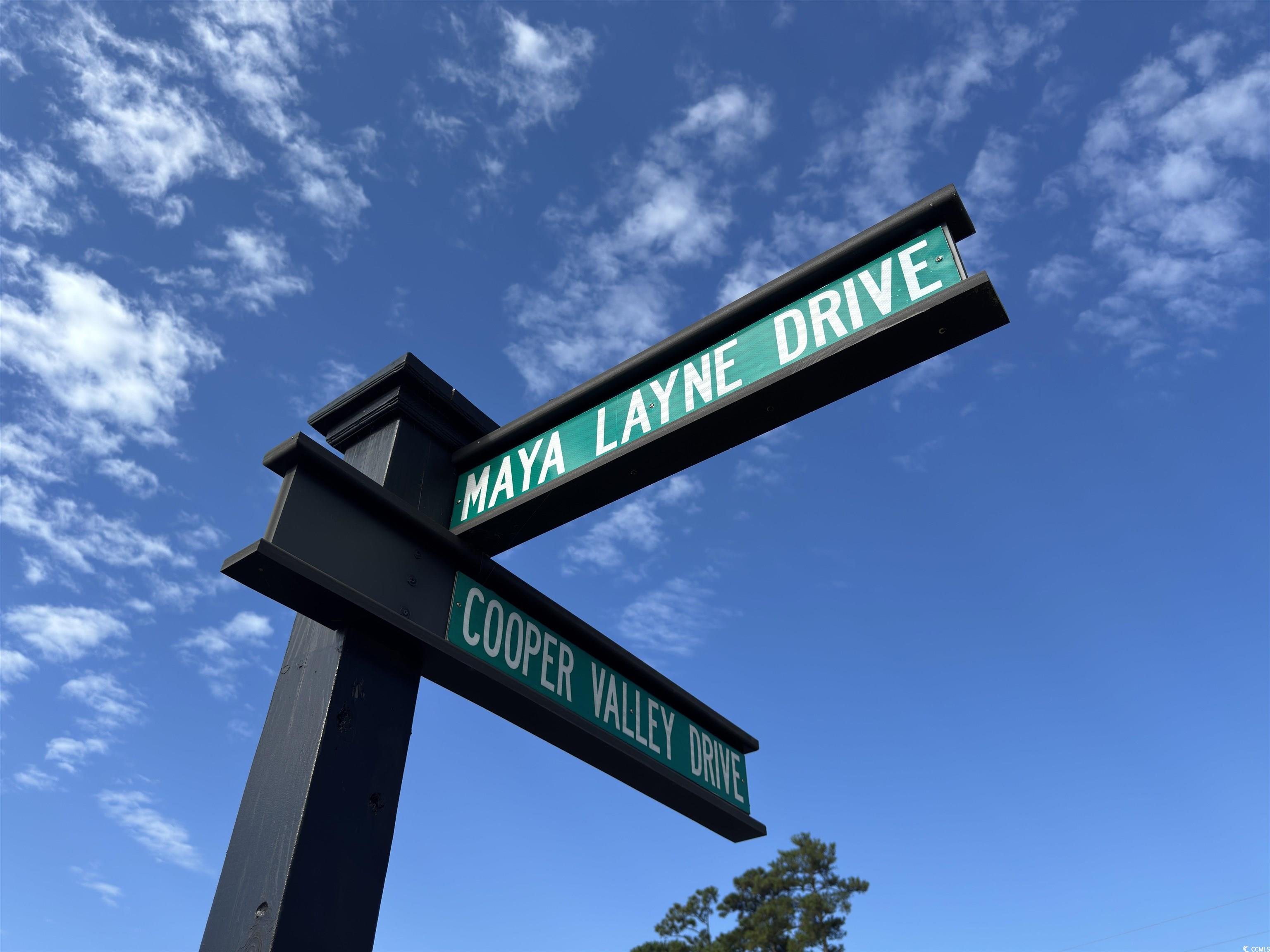 928 Maya Layne Dr. Property Photo 37