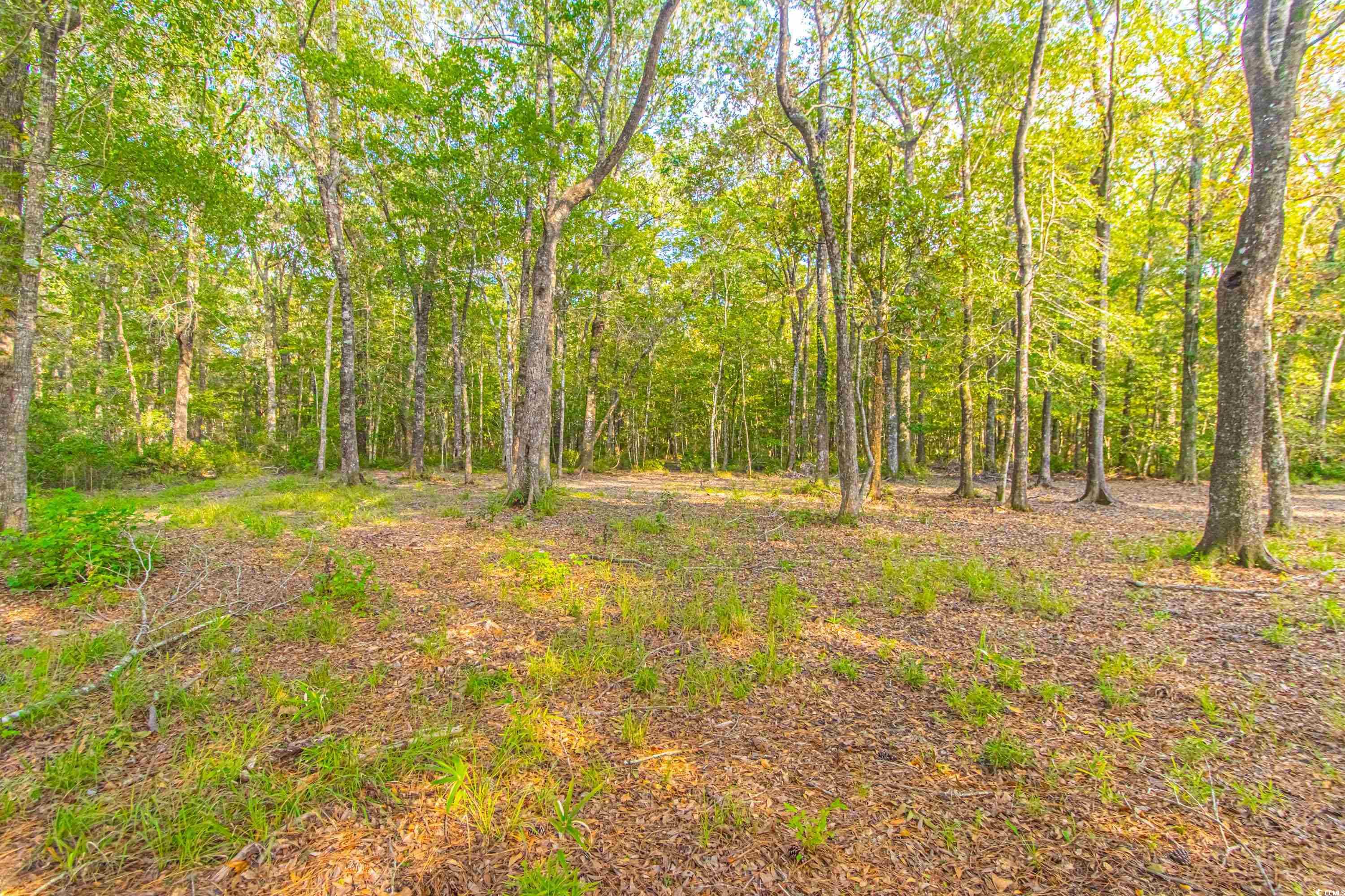 212 Chamberlin Rd. Property Photo 34