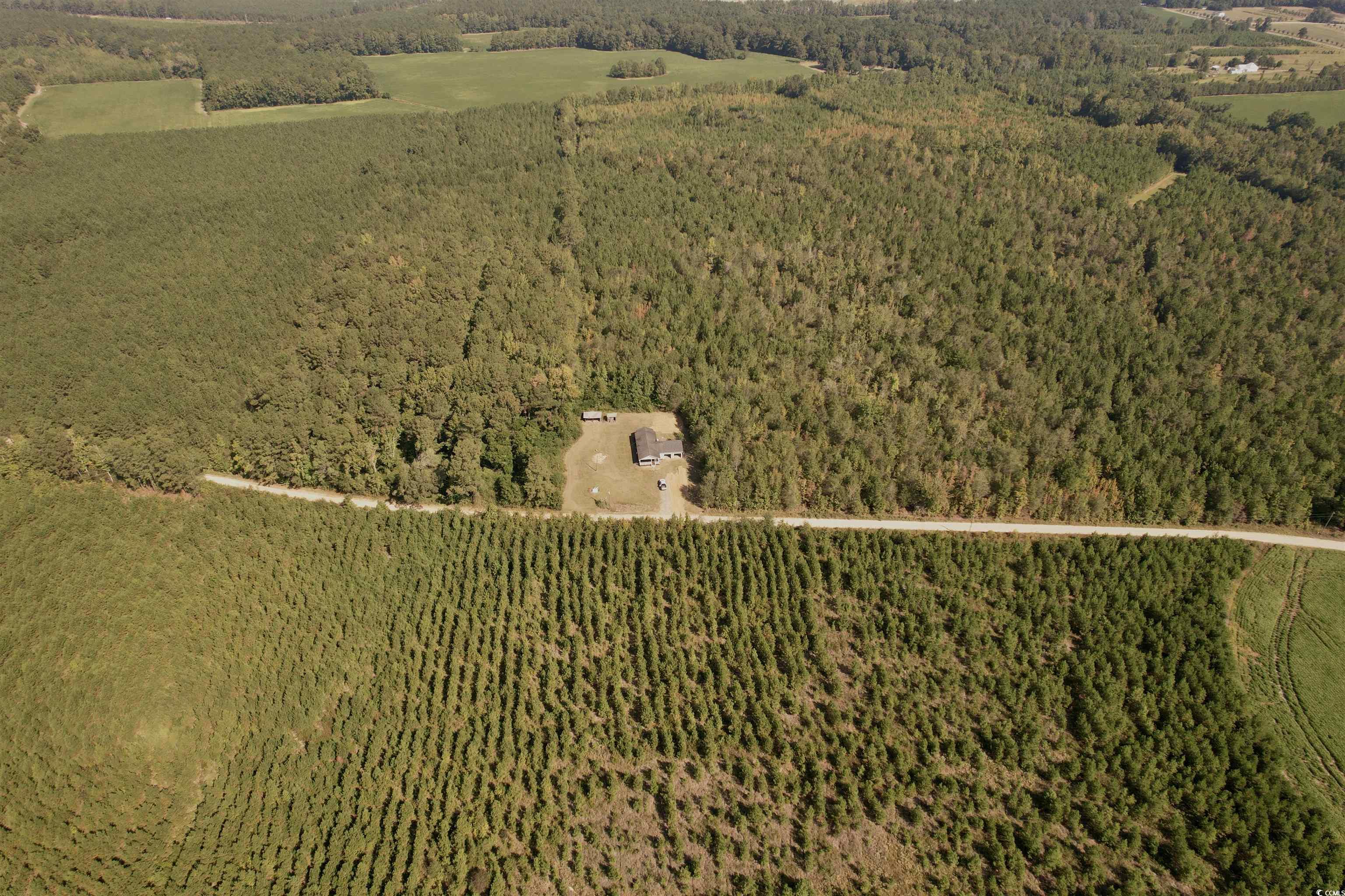 280 Eddie Woods Rd. Property Photo 19