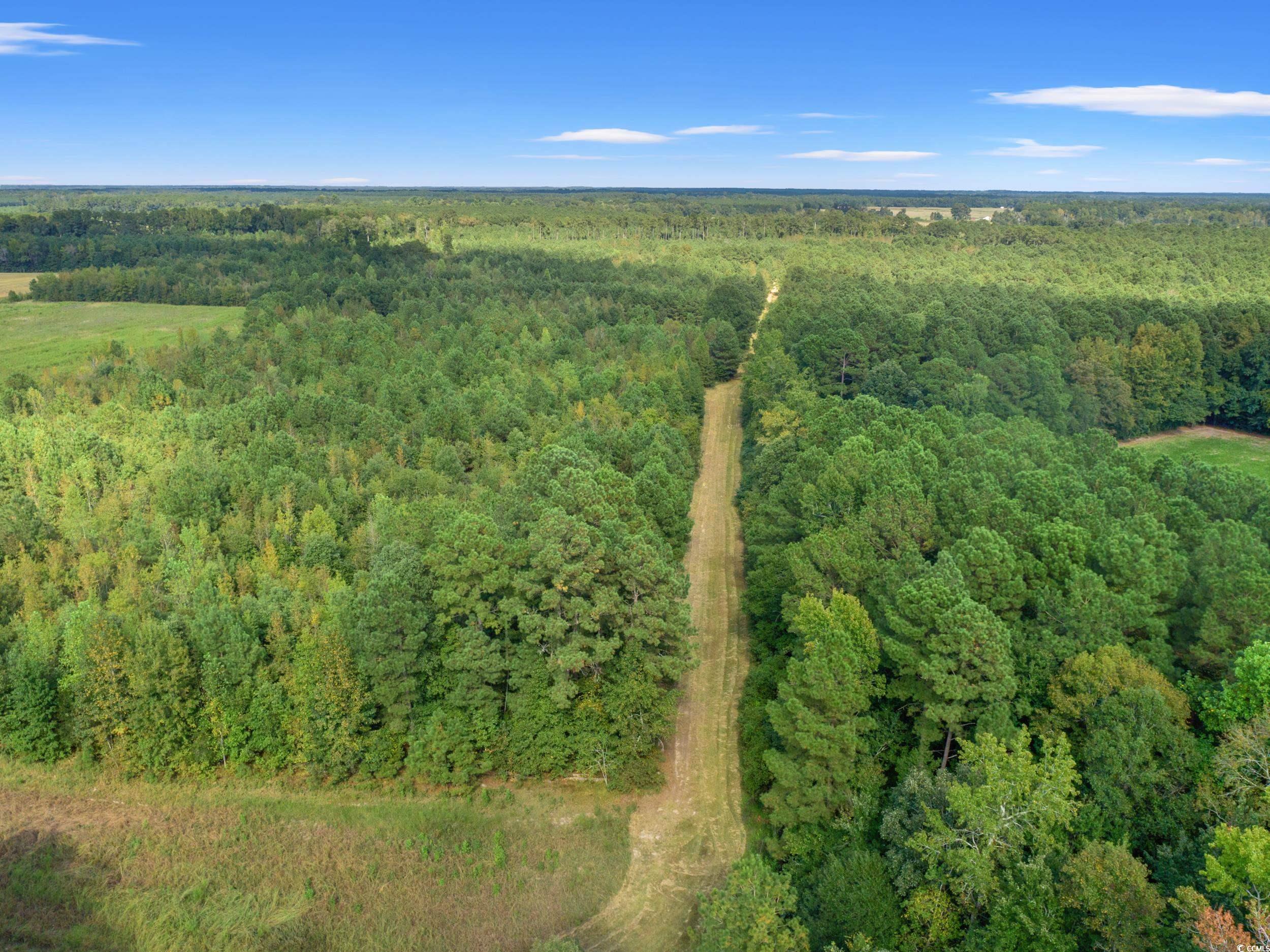 1217 Poplar Creek Rd Property Photo 27