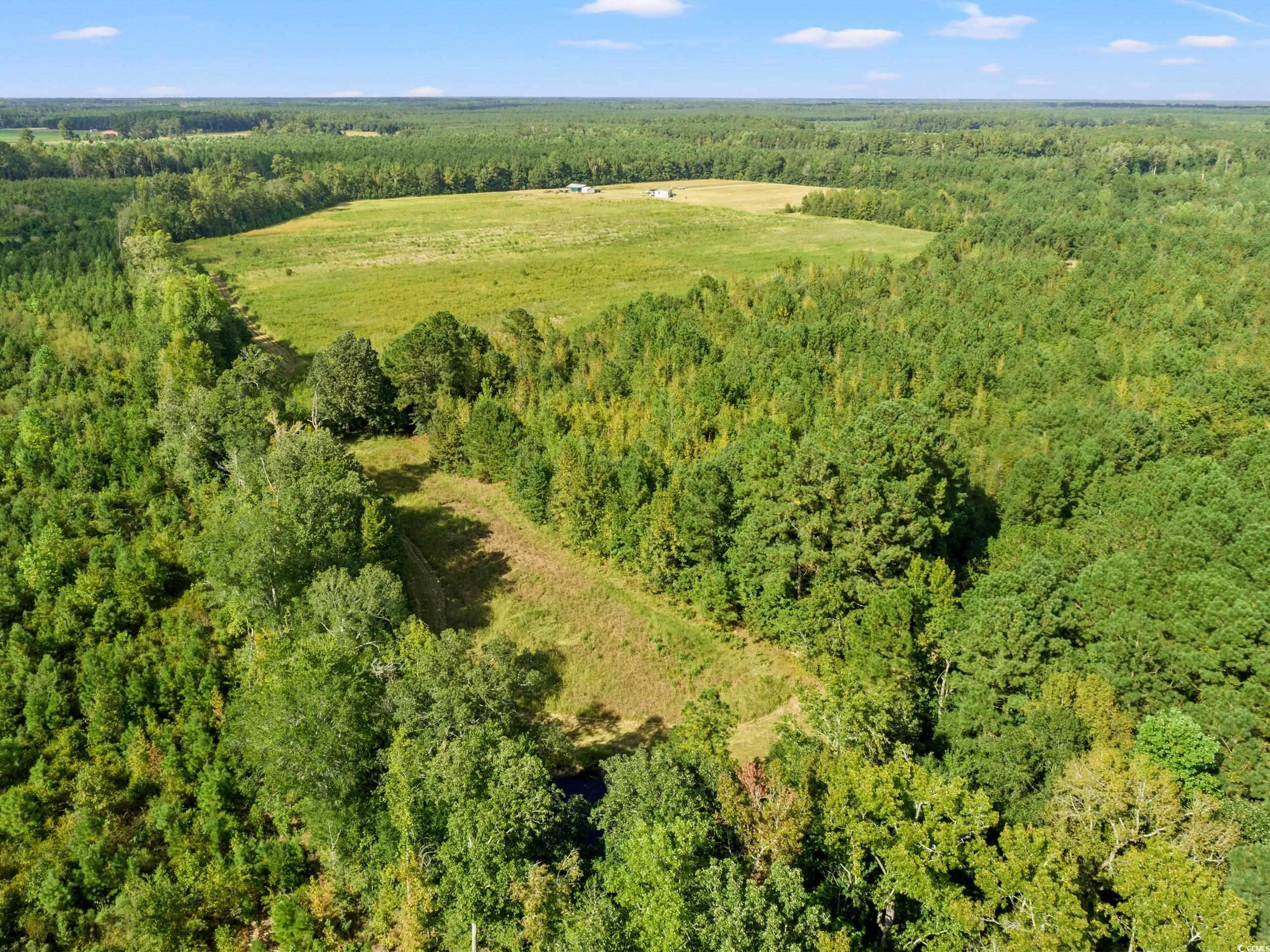 1217 Poplar Creek Rd Property Photo 29