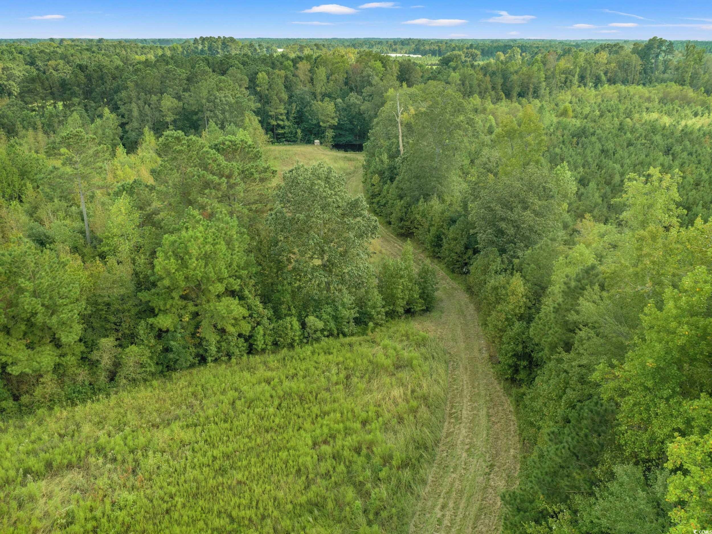 1217 Poplar Creek Rd Property Photo 31