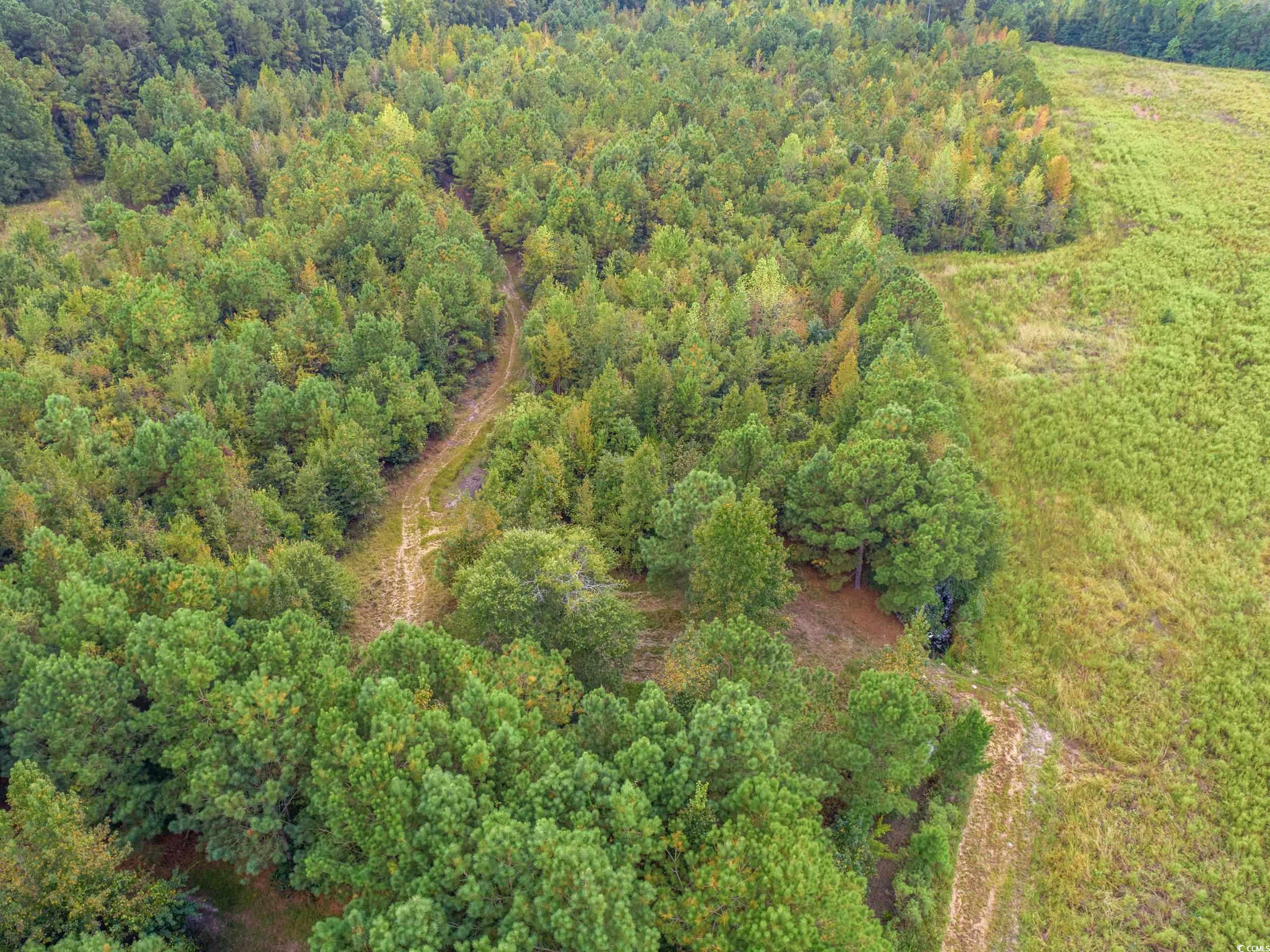 1217 Poplar Creek Rd Property Photo 32