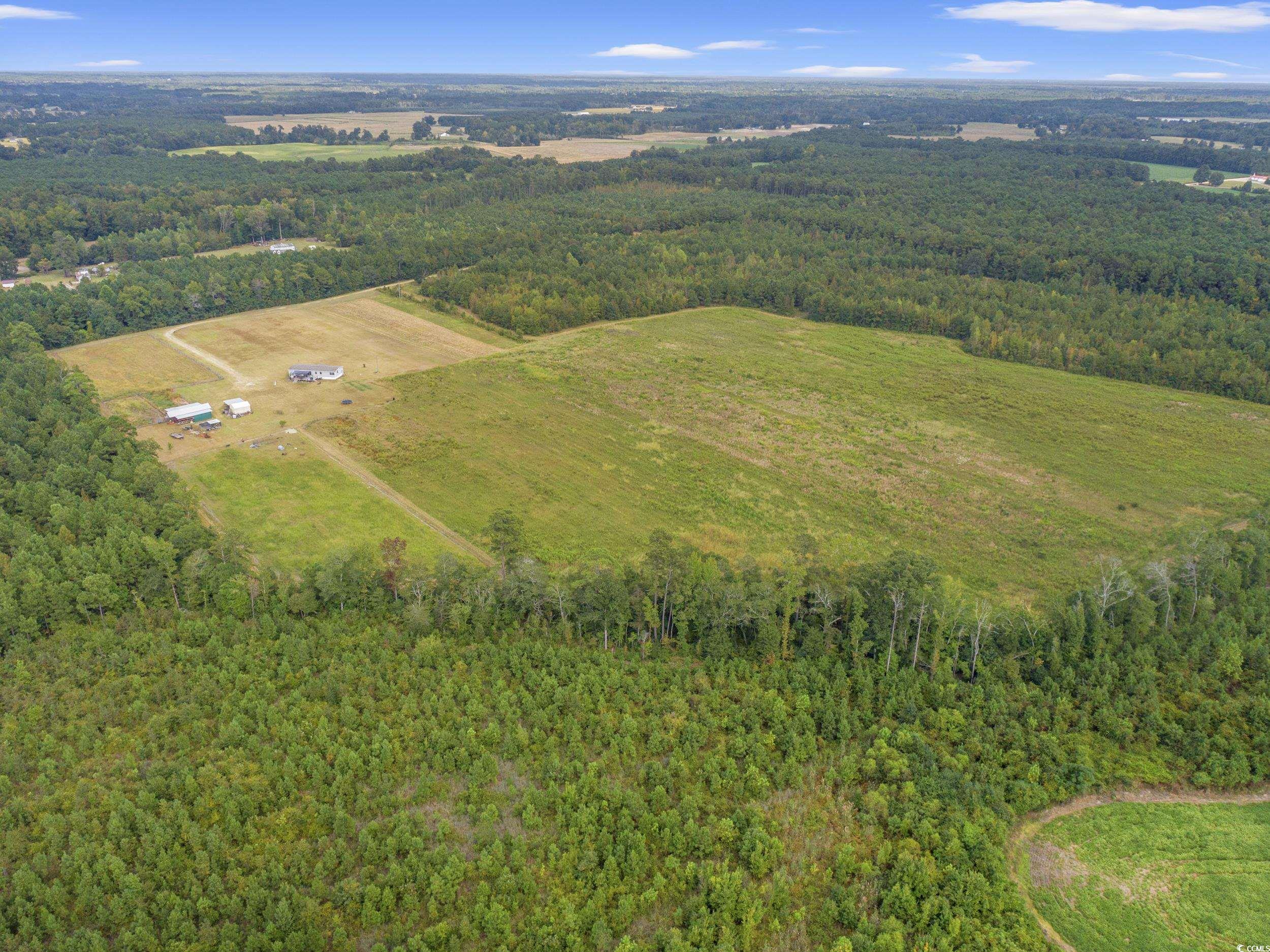 1217 Poplar Creek Rd Property Photo 38