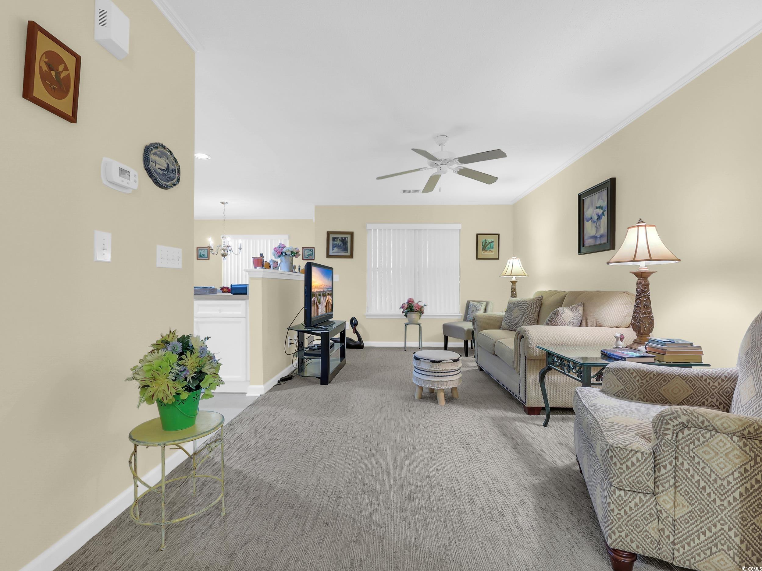 44 Pawleys Place Dr. Property Photo 7