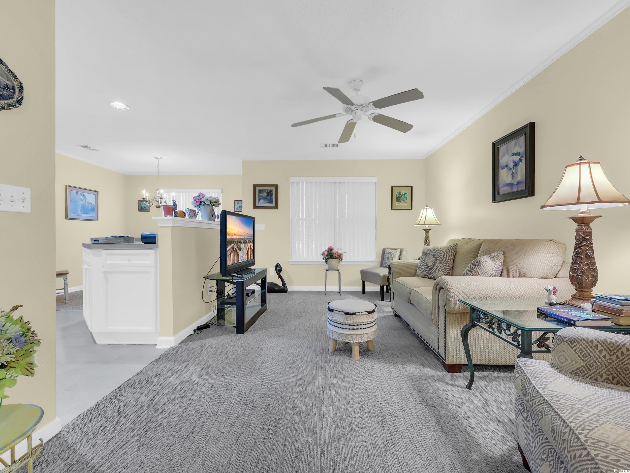 44 Pawleys Place Dr. Property Photo 8