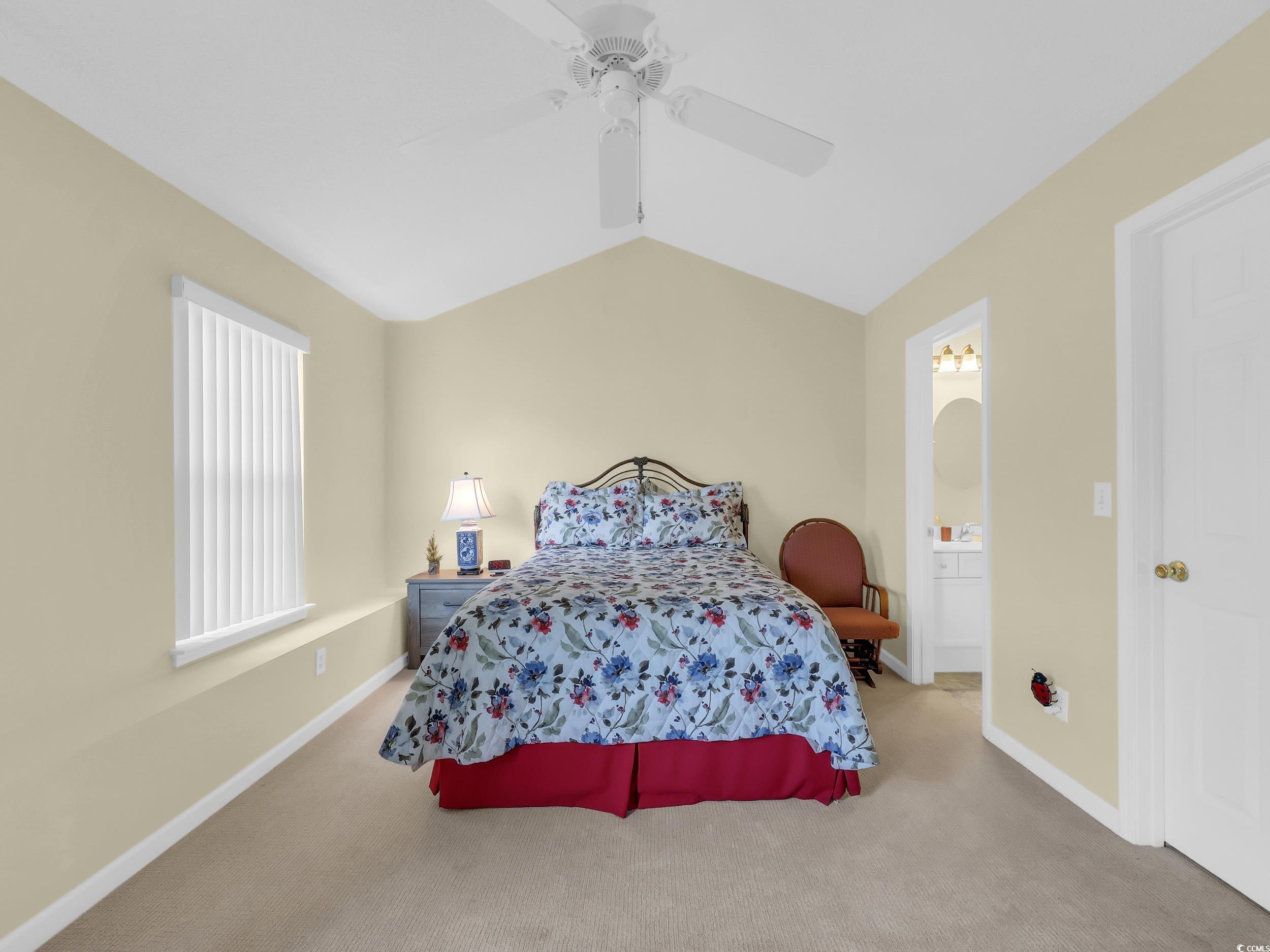 44 Pawleys Place Dr. Property Photo 16