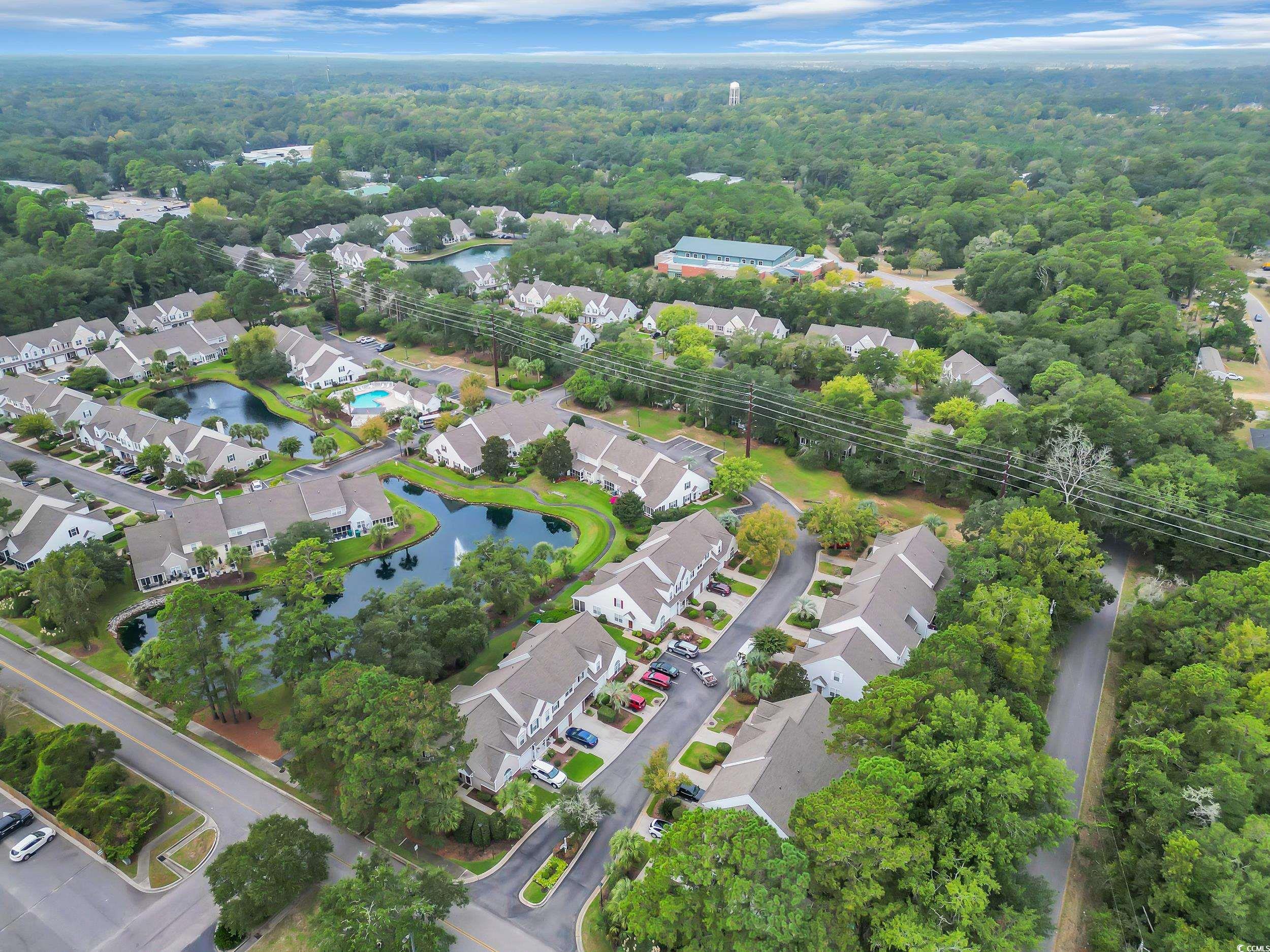 44 Pawleys Place Dr. Property Photo 24