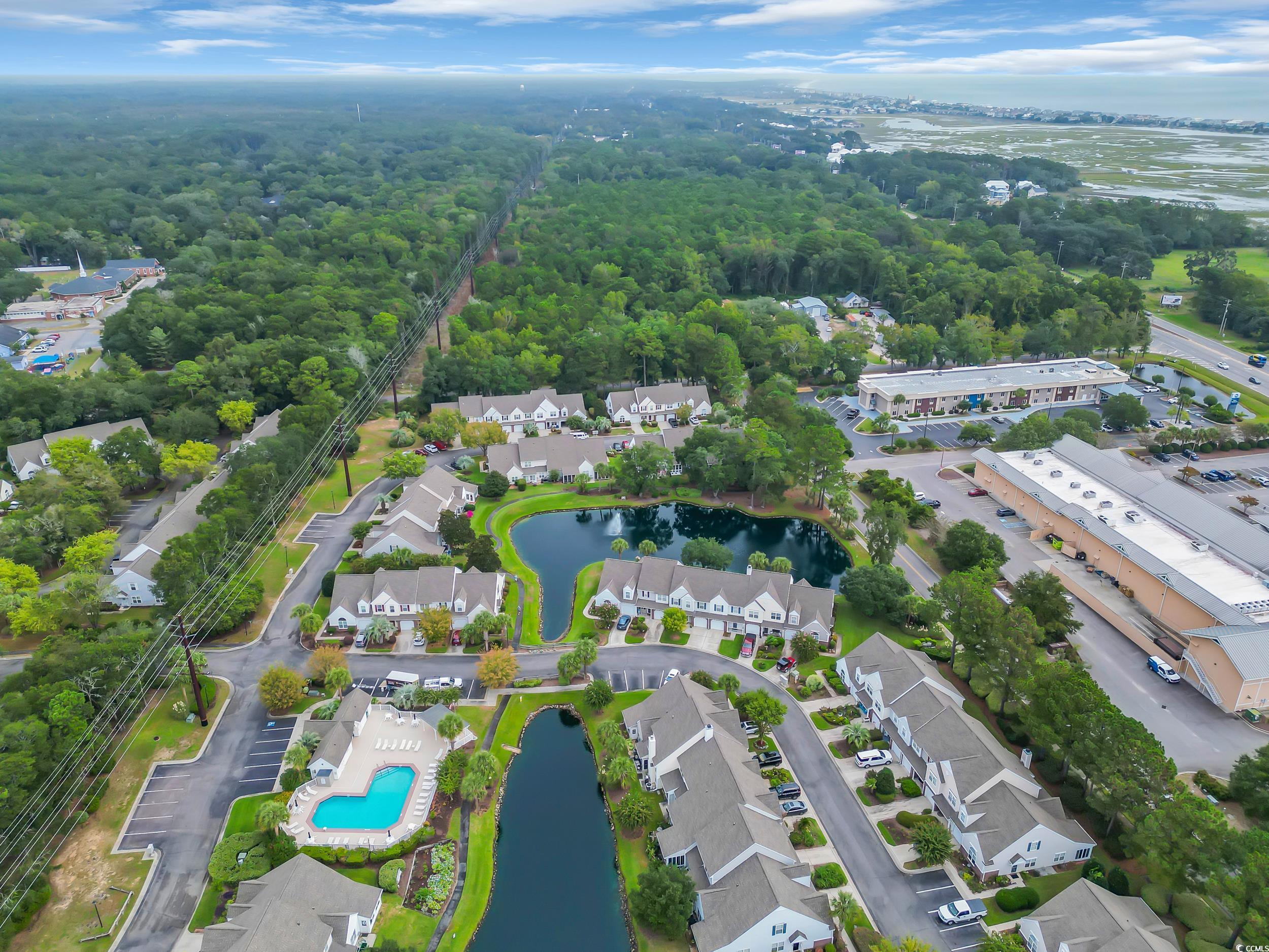 44 Pawleys Place Dr. Property Photo 25