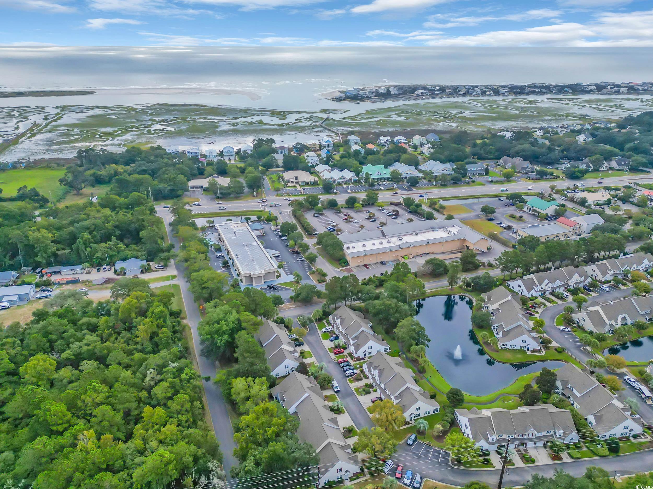 44 Pawleys Place Dr. Property Photo 26