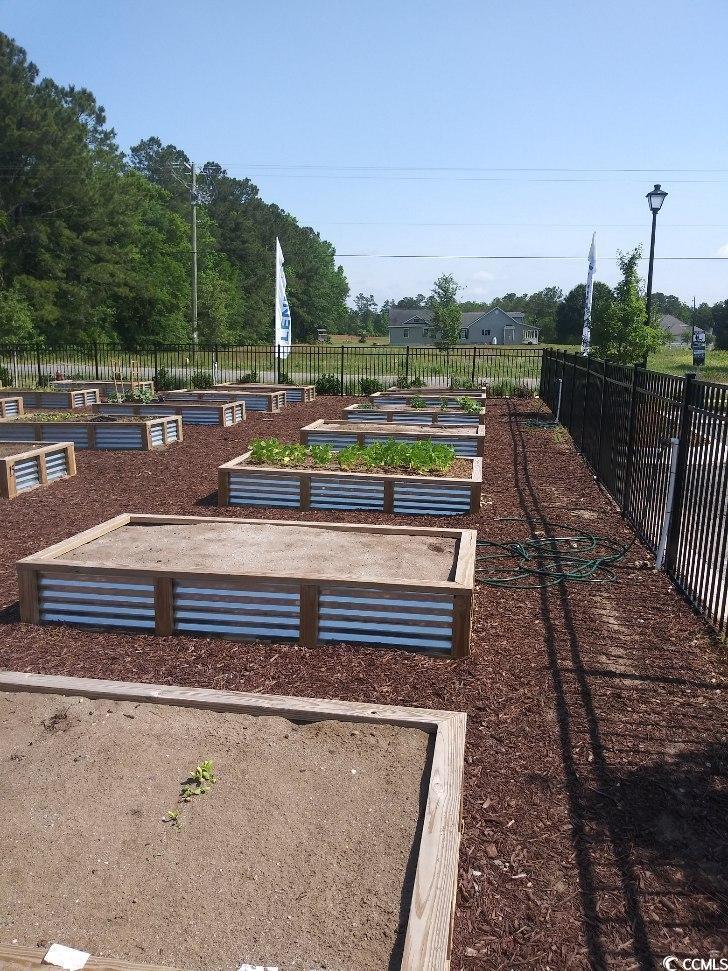 1099 Tibetan St. Property Photo 21