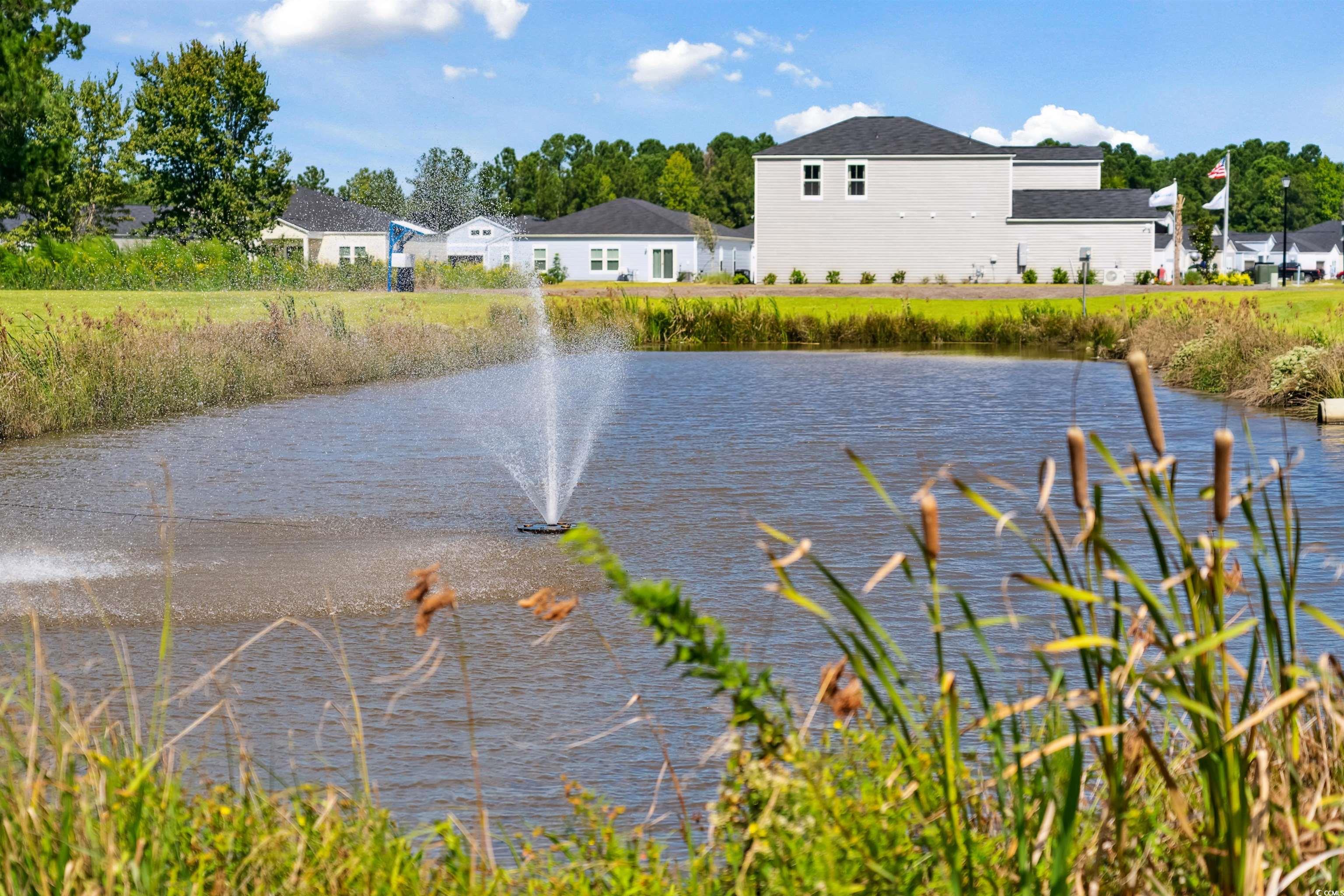 1112 Tibetan St. Property Photo 25