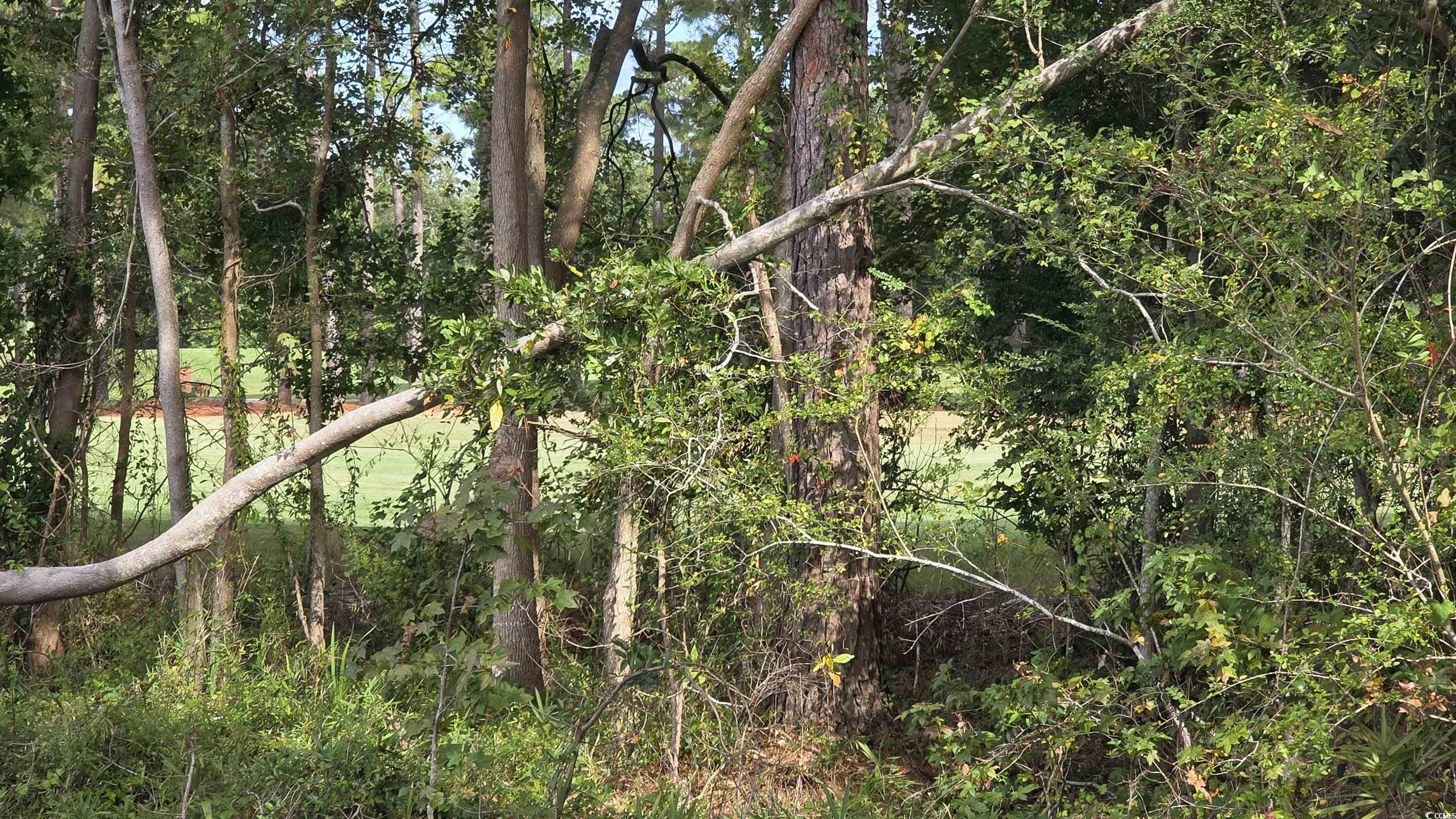 1008 Maccoa Dr. Property Photo 5