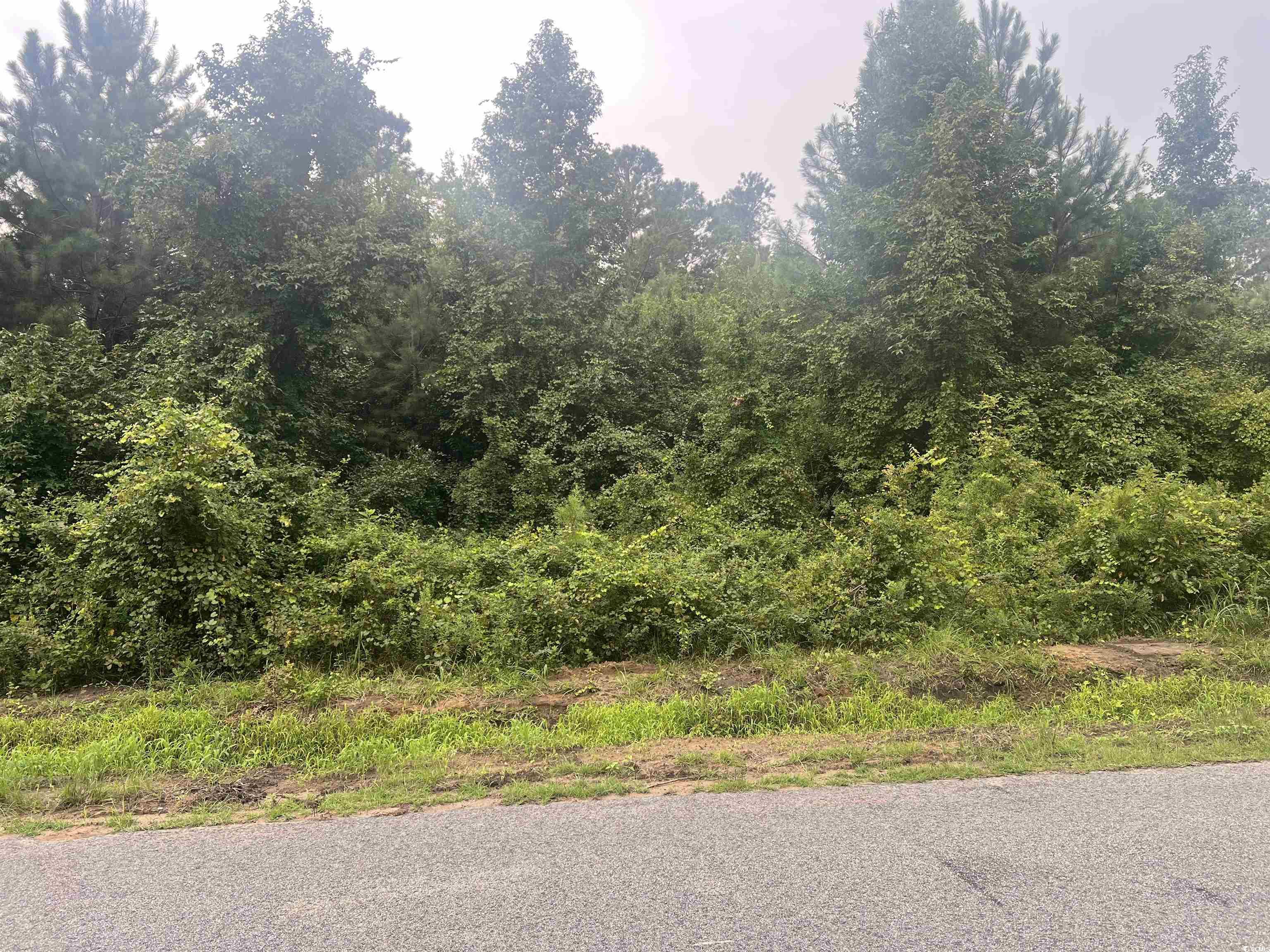 Tbd Kerl Rd. Property Photo 1