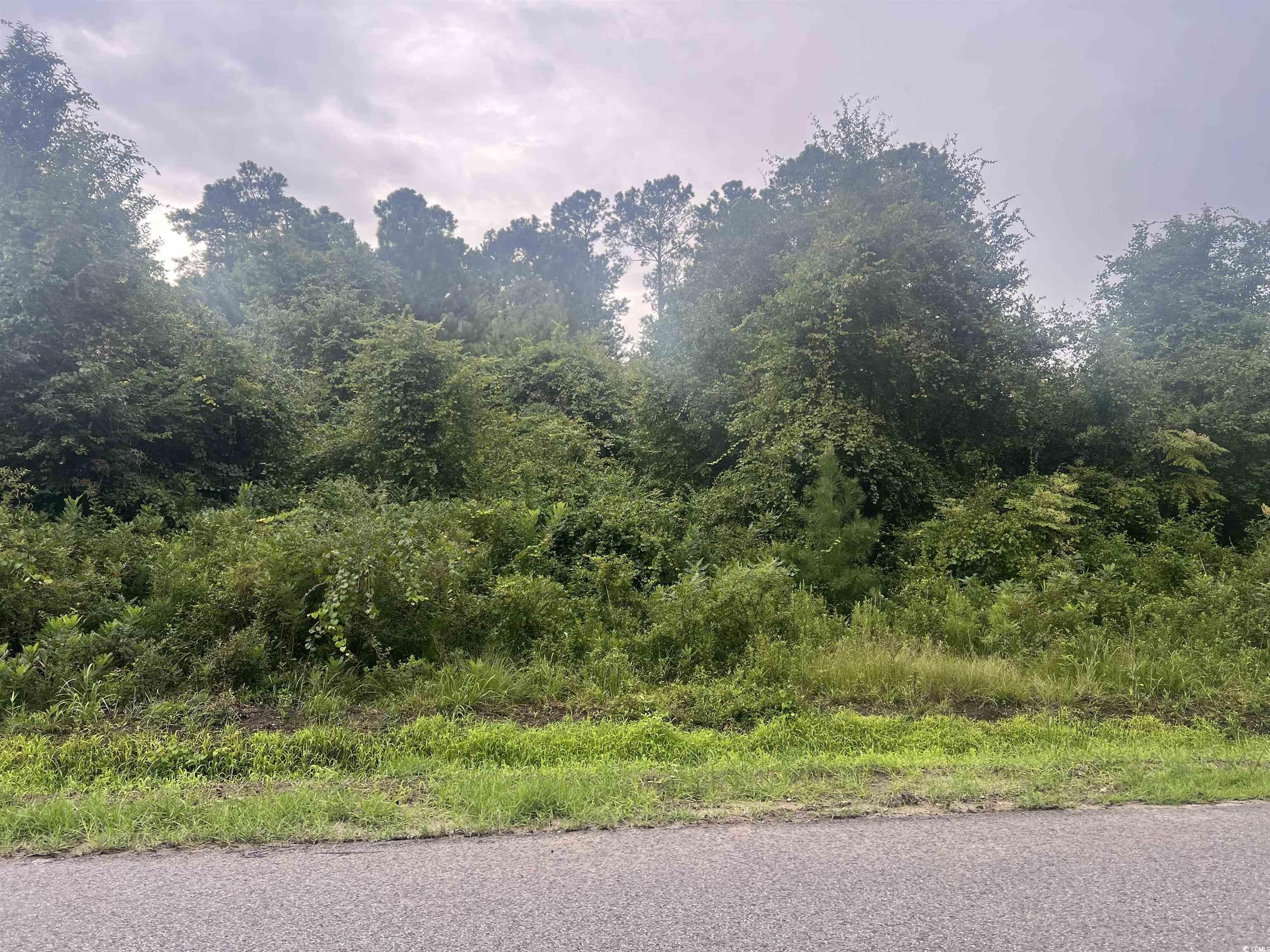 Tbd Kerl Rd. Property Photo 3