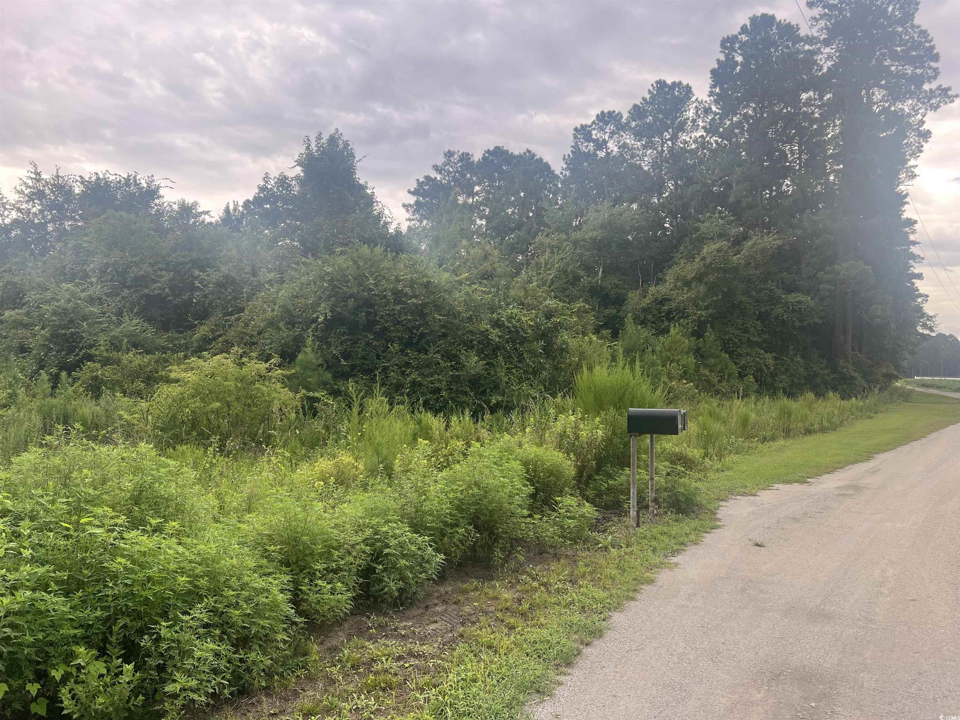 Tbd Kerl Rd. Property Photo 4