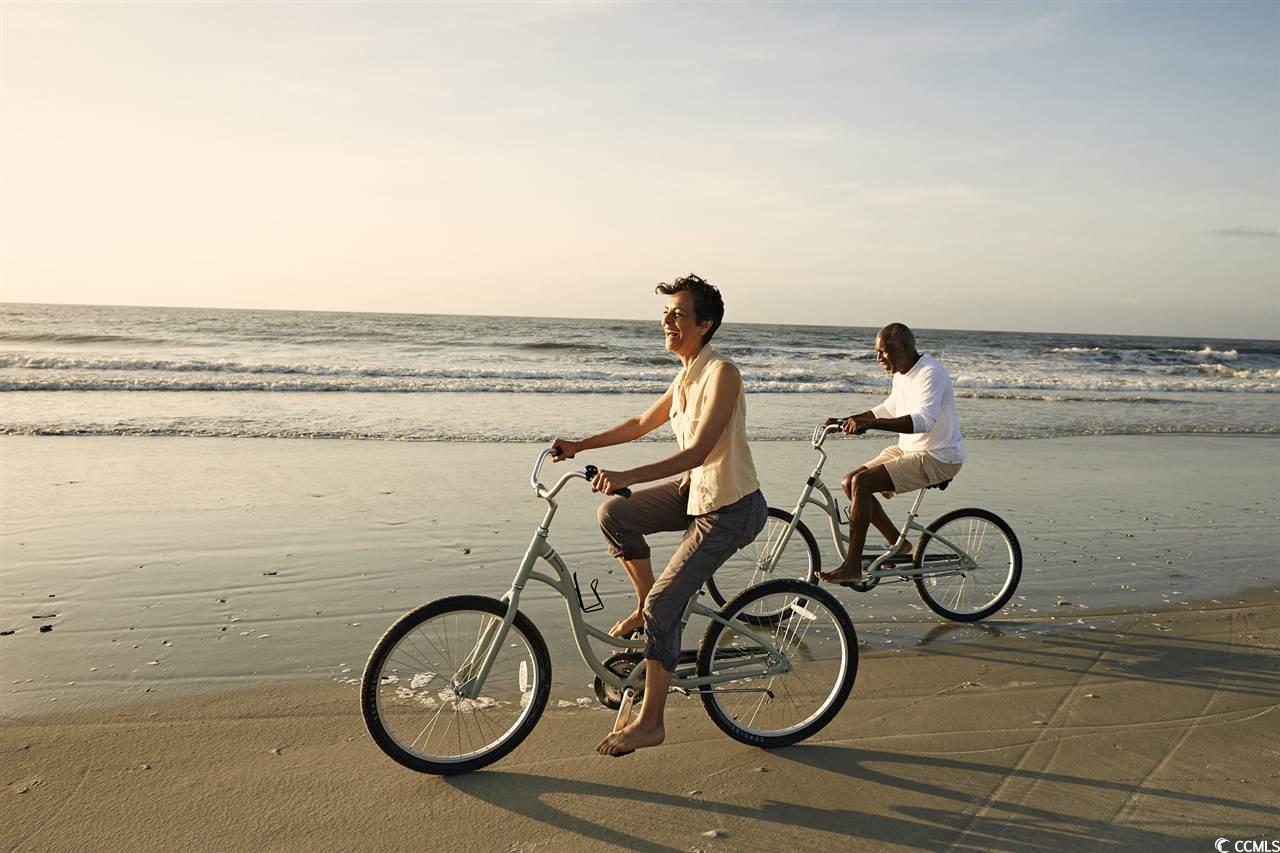 1405 Seachase Way Property Photo 21