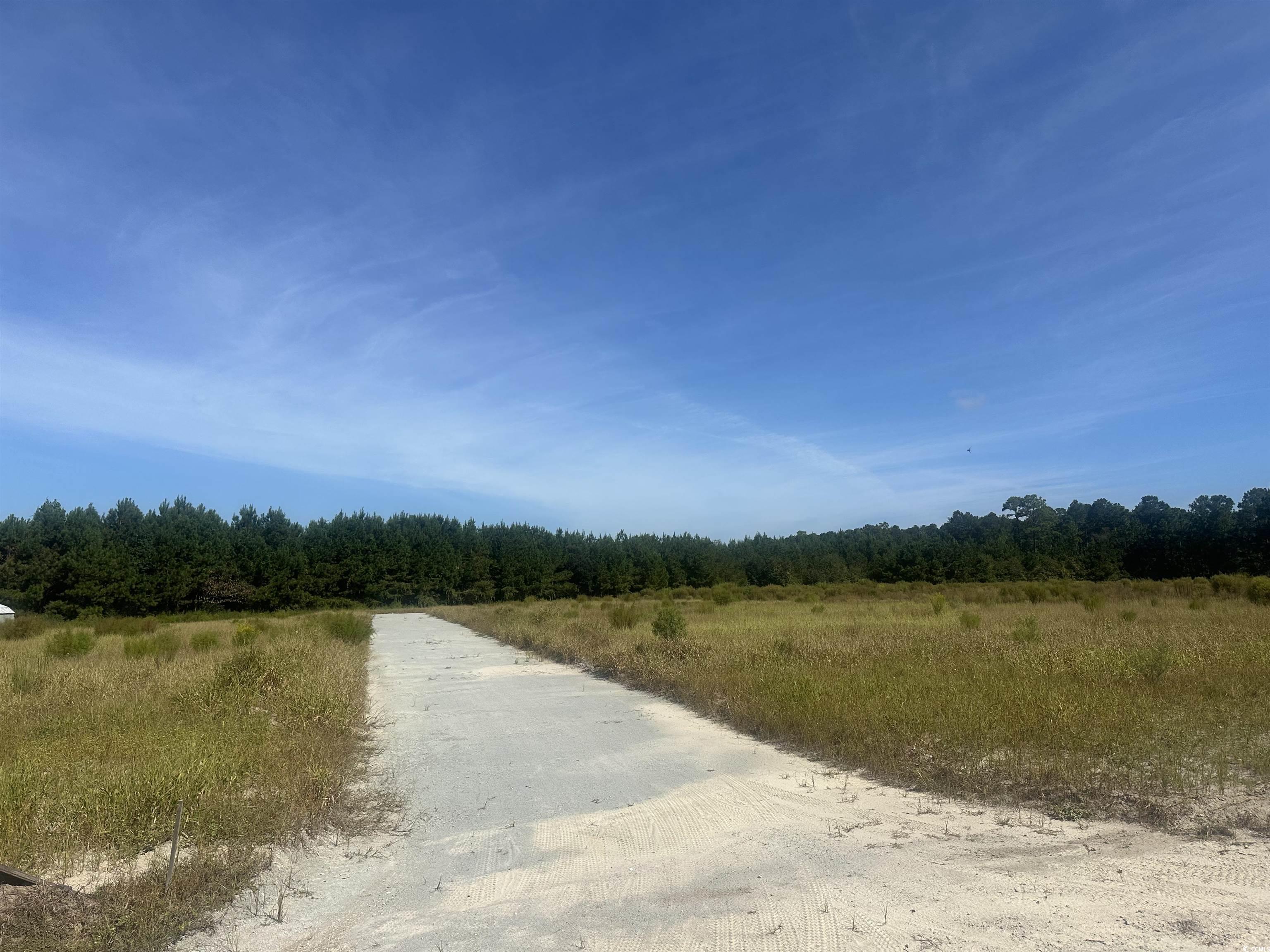 Tbd Tansy Rd. Property Photo 1