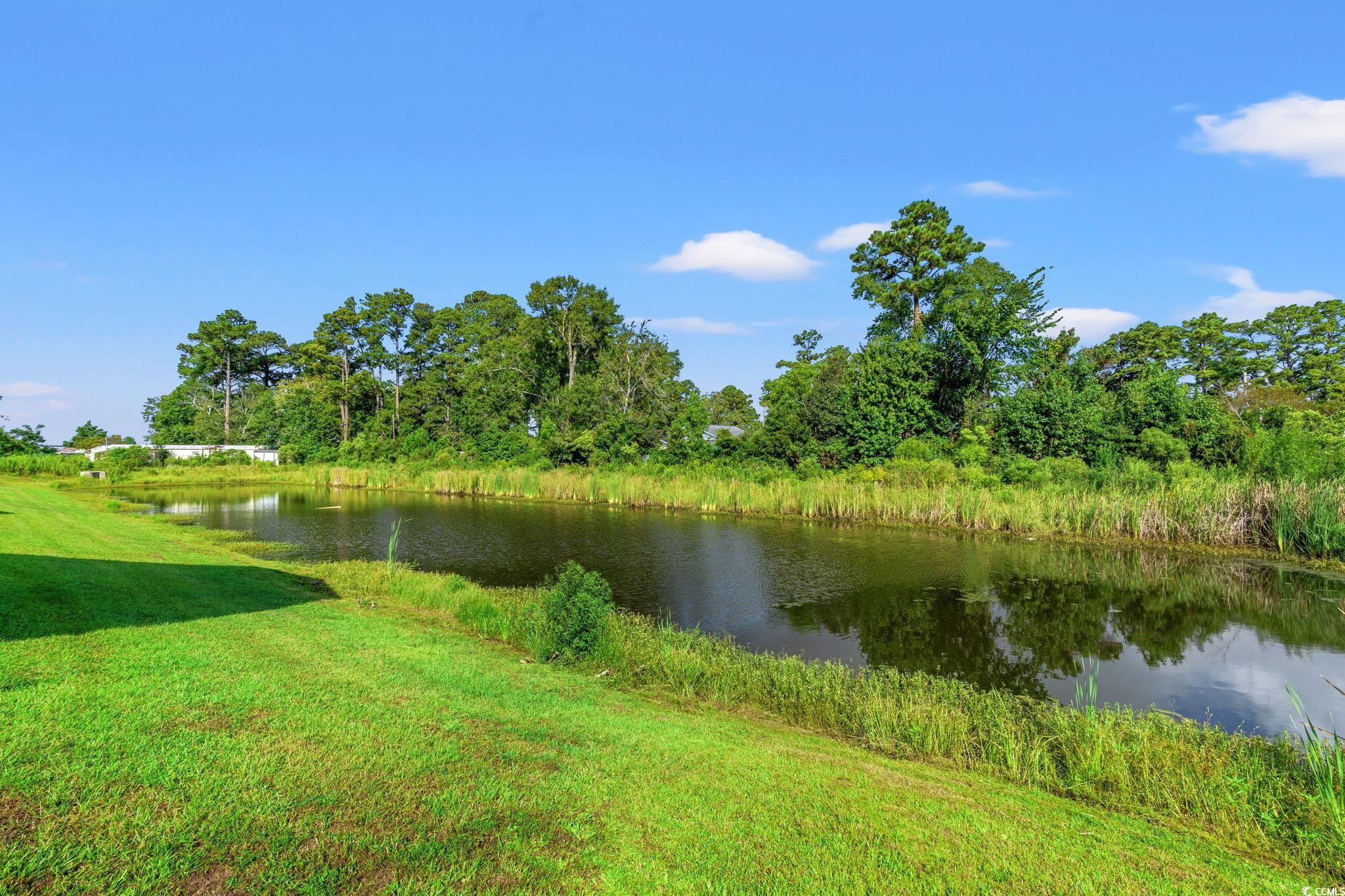 147 Shetland Woods Dr. Property Photo 34