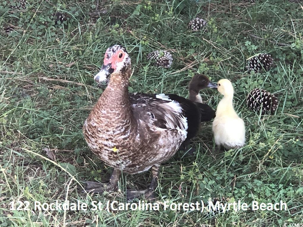 122 Rockdale St. Property Photo 7