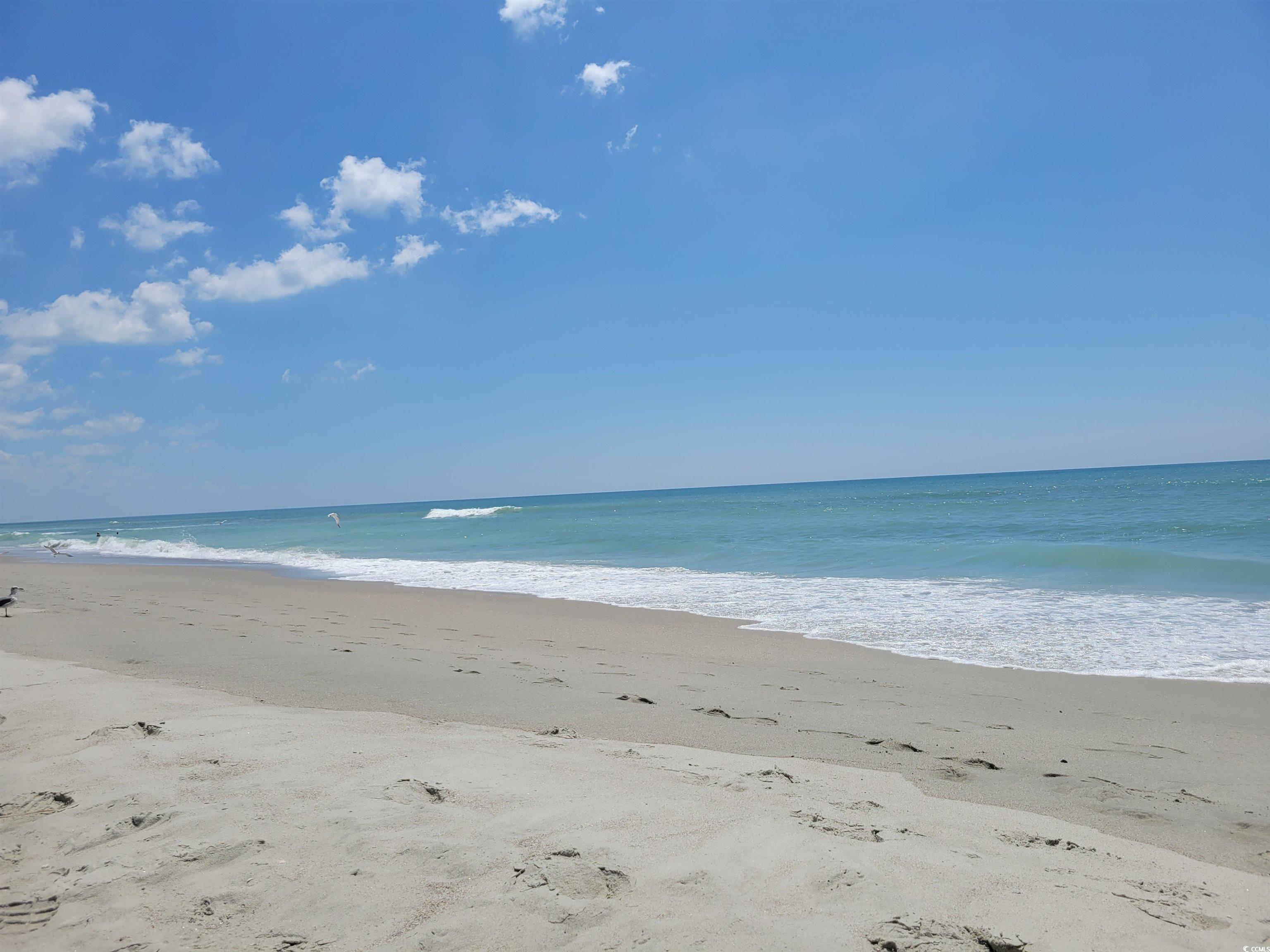 3712 Park Pointe Ave. Property Photo 4