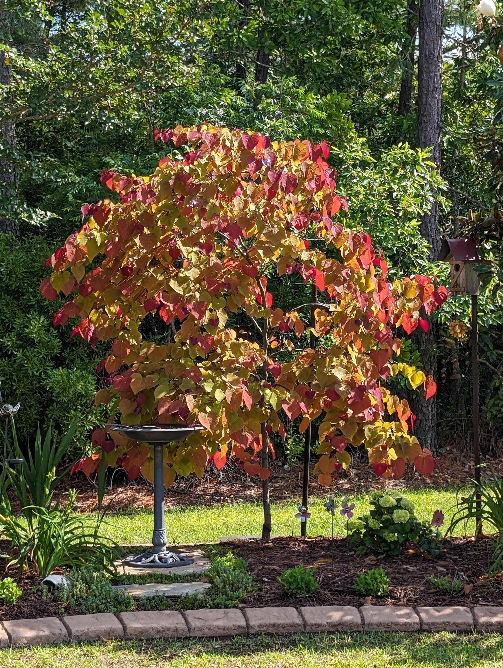 5618 Lombardia Circle Property Photo 31