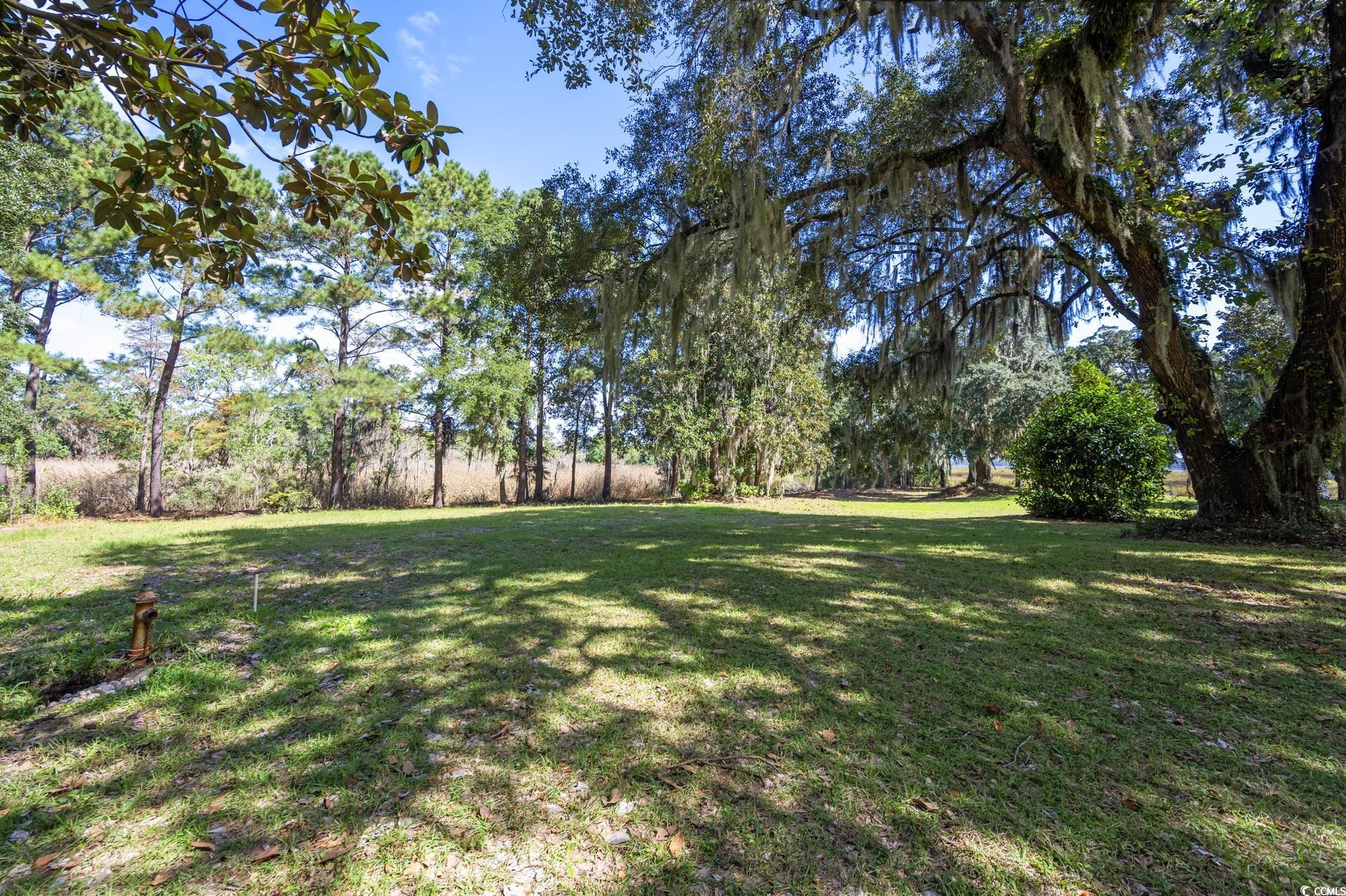 Lot 5 Whitehall Ave. Property Photo 4
