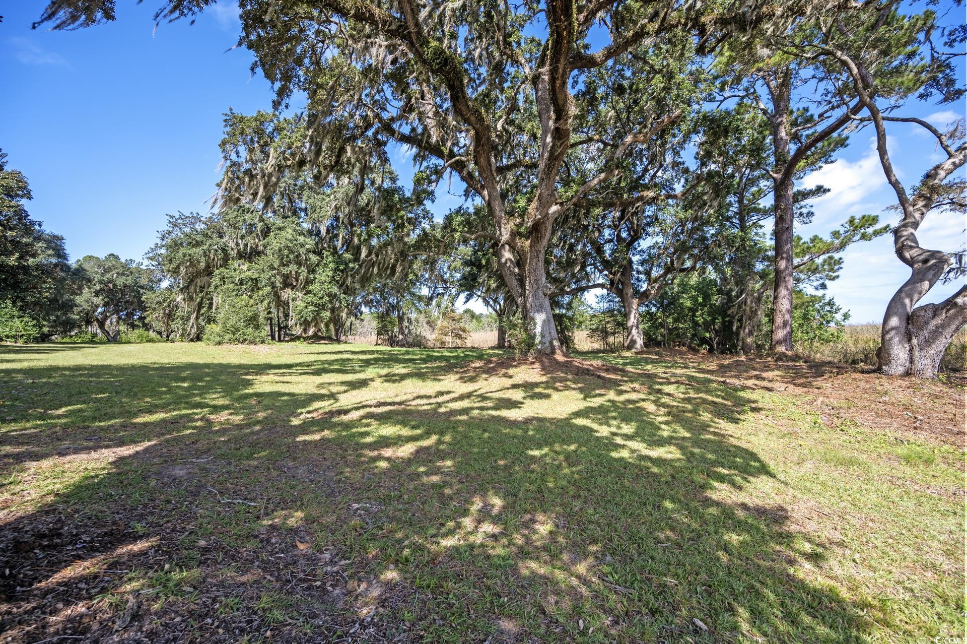 Lot 5 Whitehall Ave. Property Photo 7