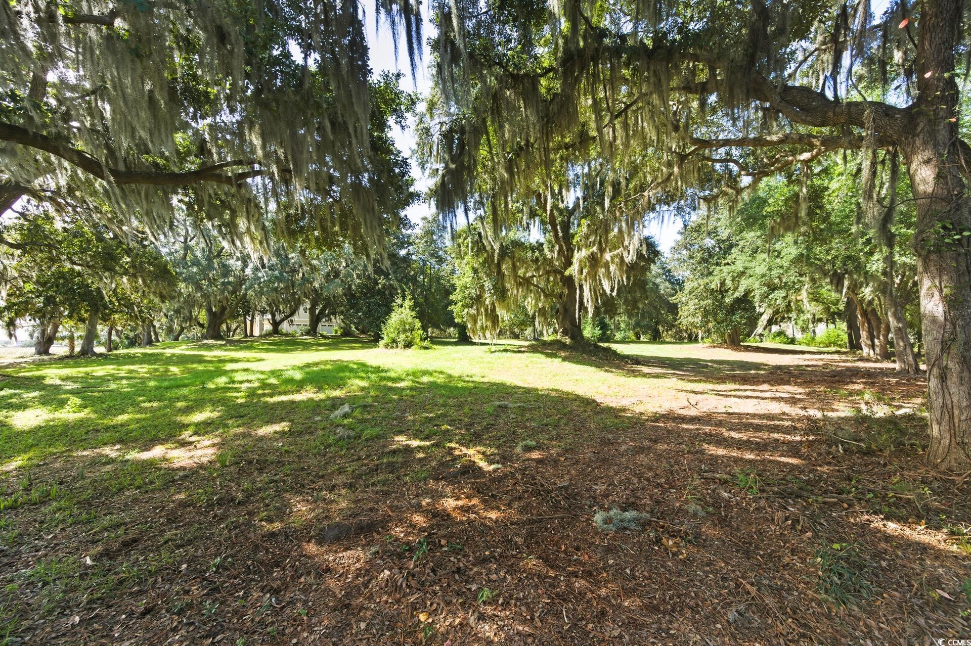 Lot 5 Whitehall Ave. Property Photo 12