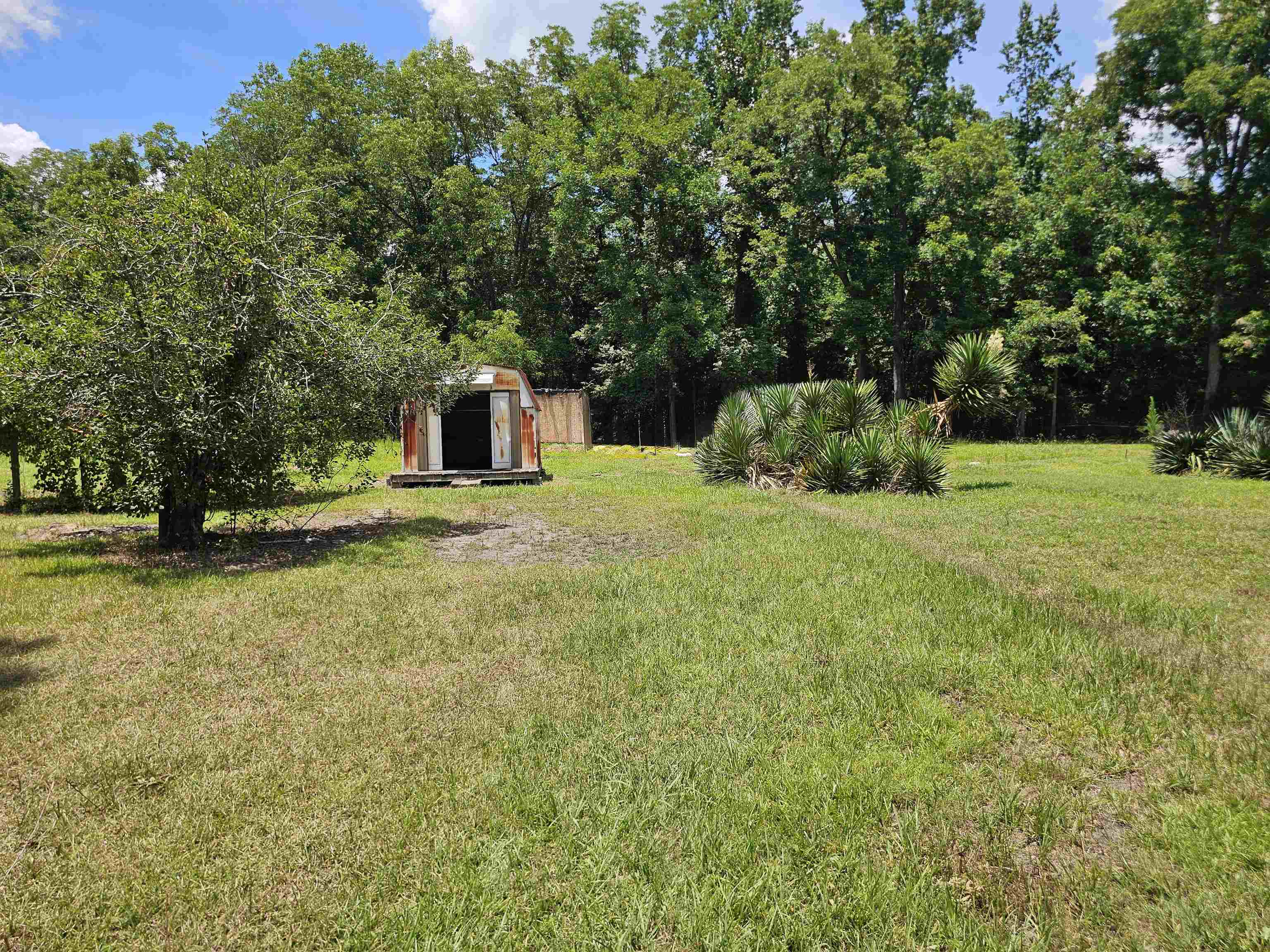 90 Oak Tree St Property Photo 17
