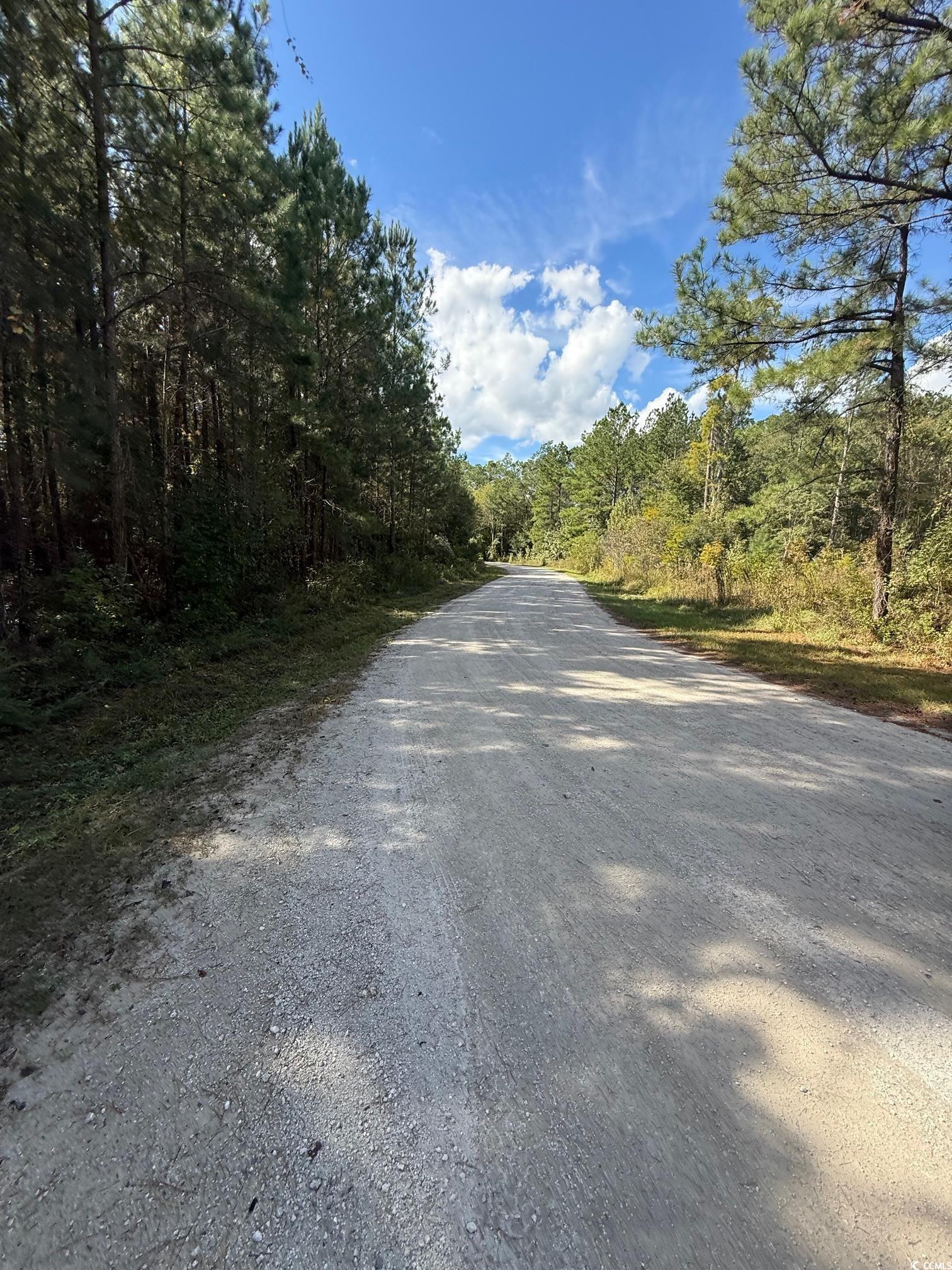 Tbd Hidden River Rd. Property Photo 6