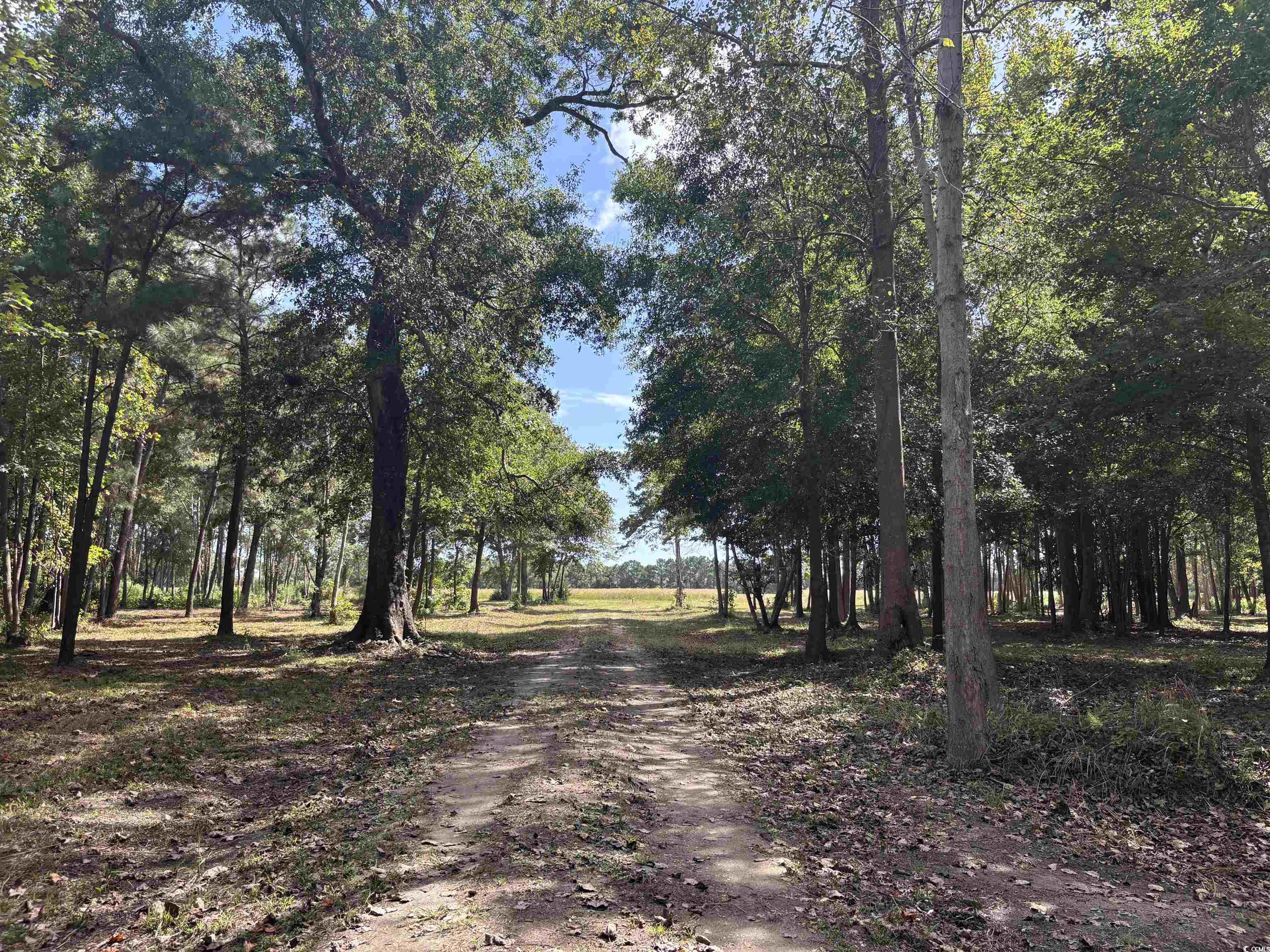 Tbd Bourne Trail Property Photo 1