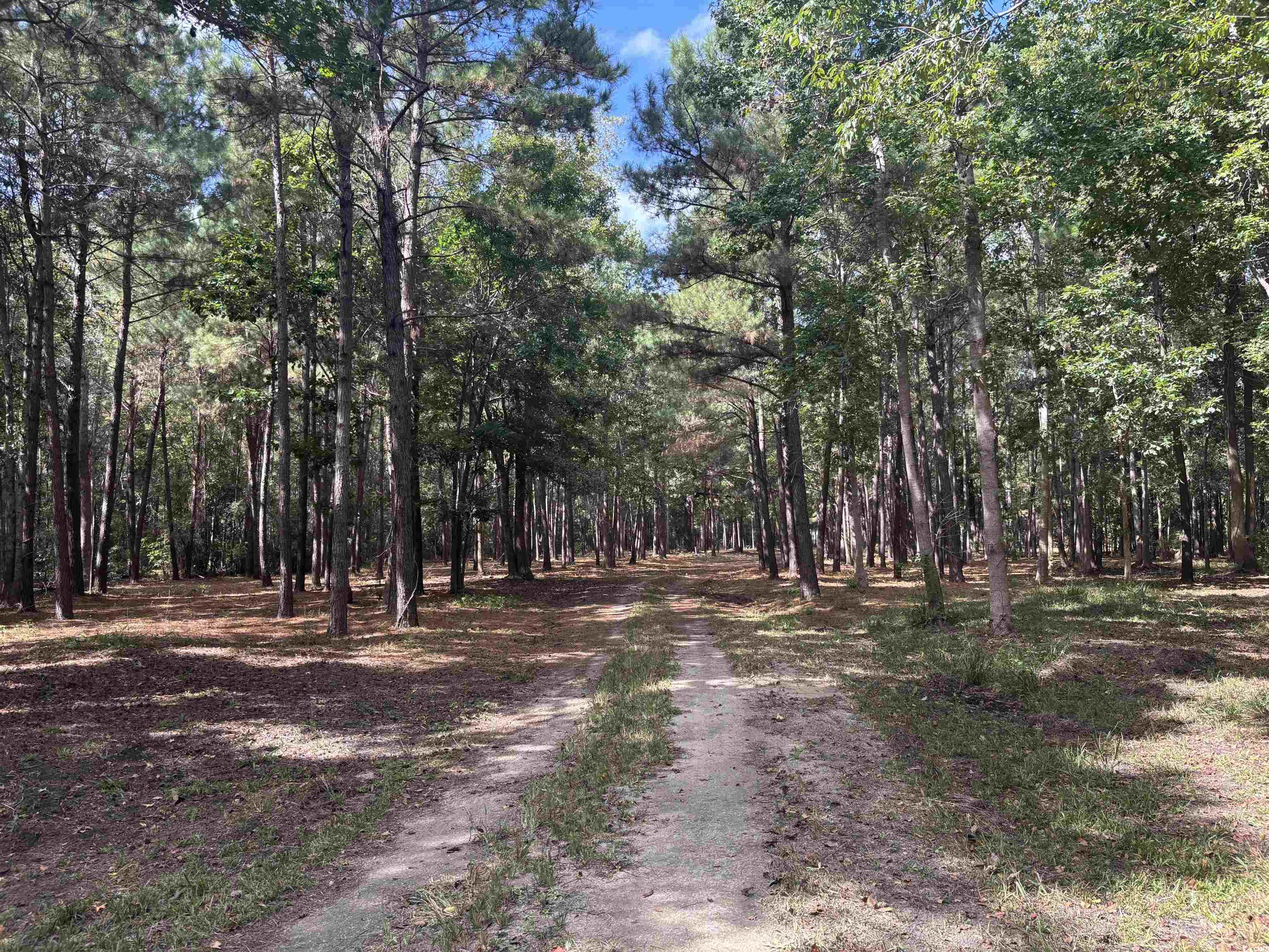 Tbd Bourne Trail Property Photo 4