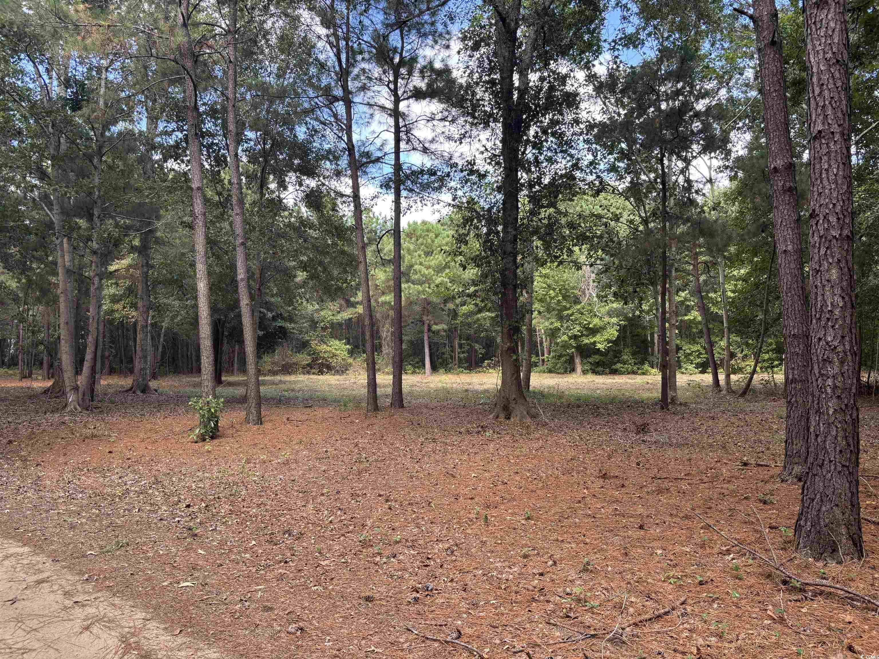 Tbd Bourne Trail Property Photo 5