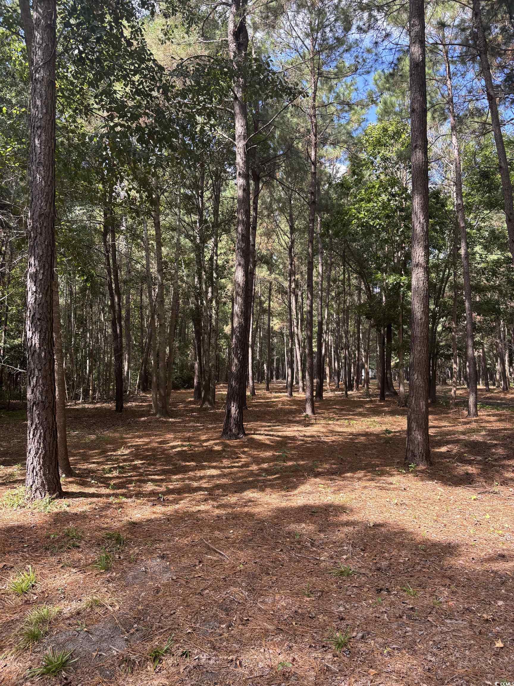 Tbd Bourne Trail Property Photo 6