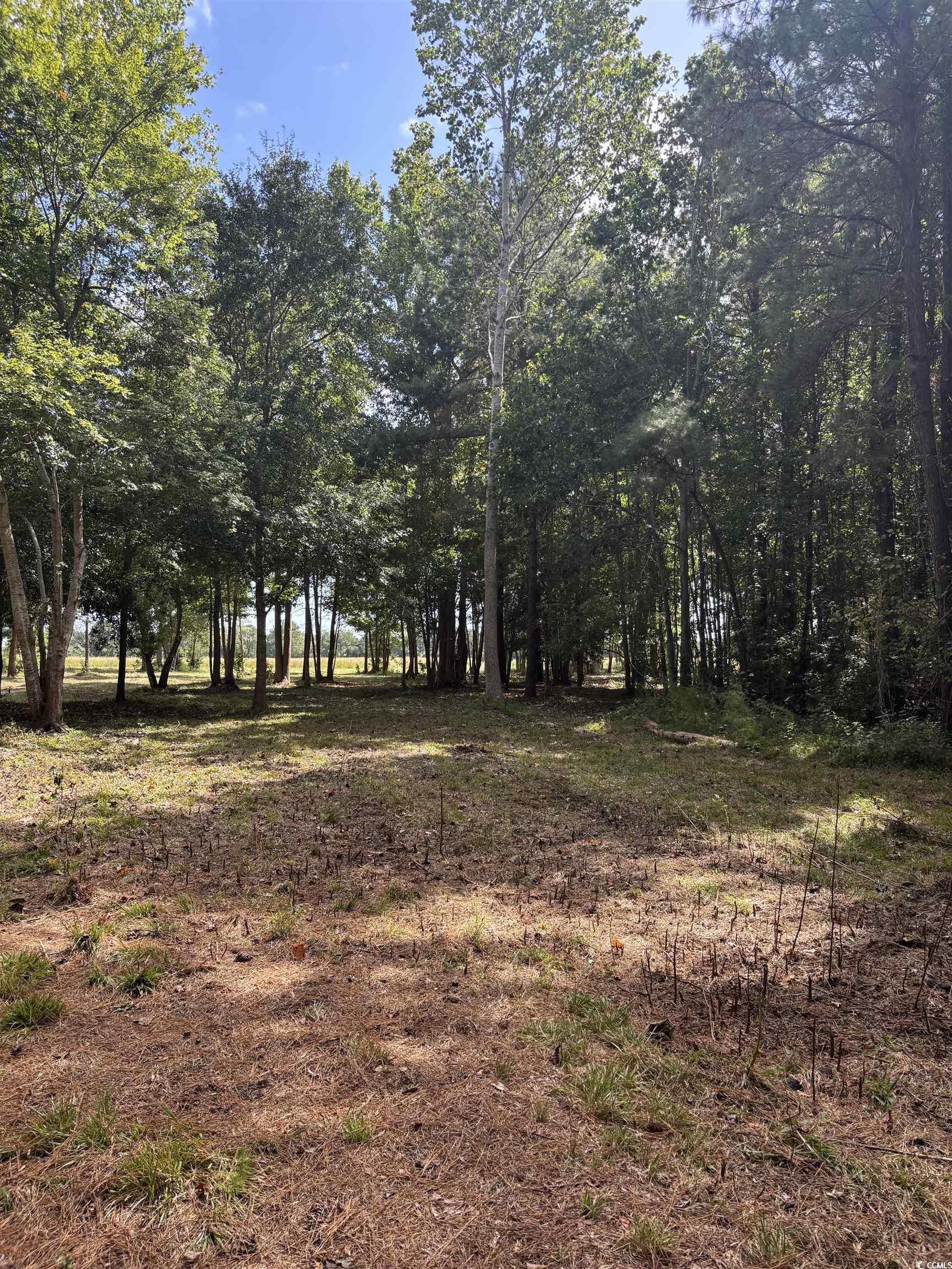 Tbd Bourne Trail Property Photo 7