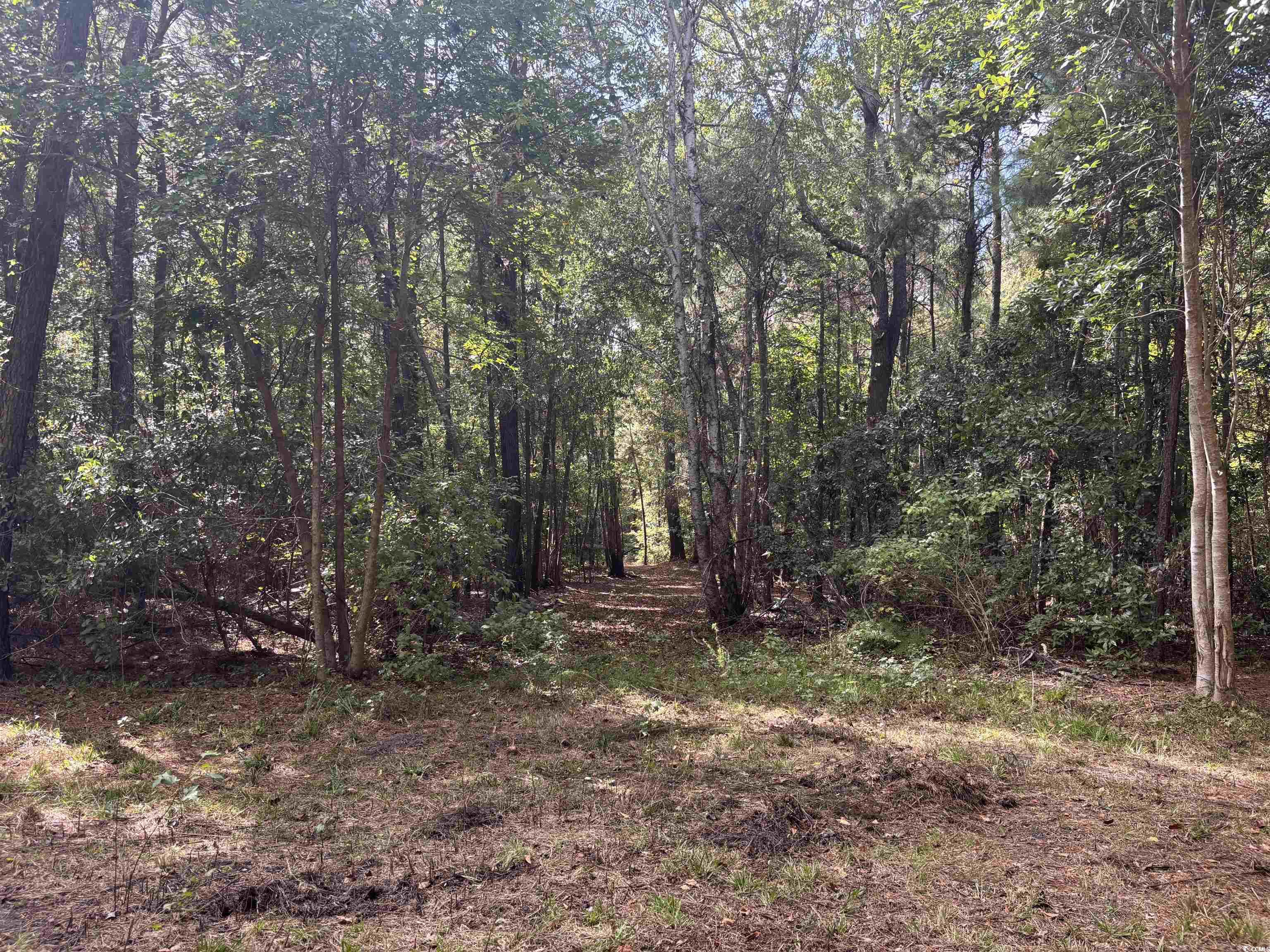 Tbd Bourne Trail Property Photo 9
