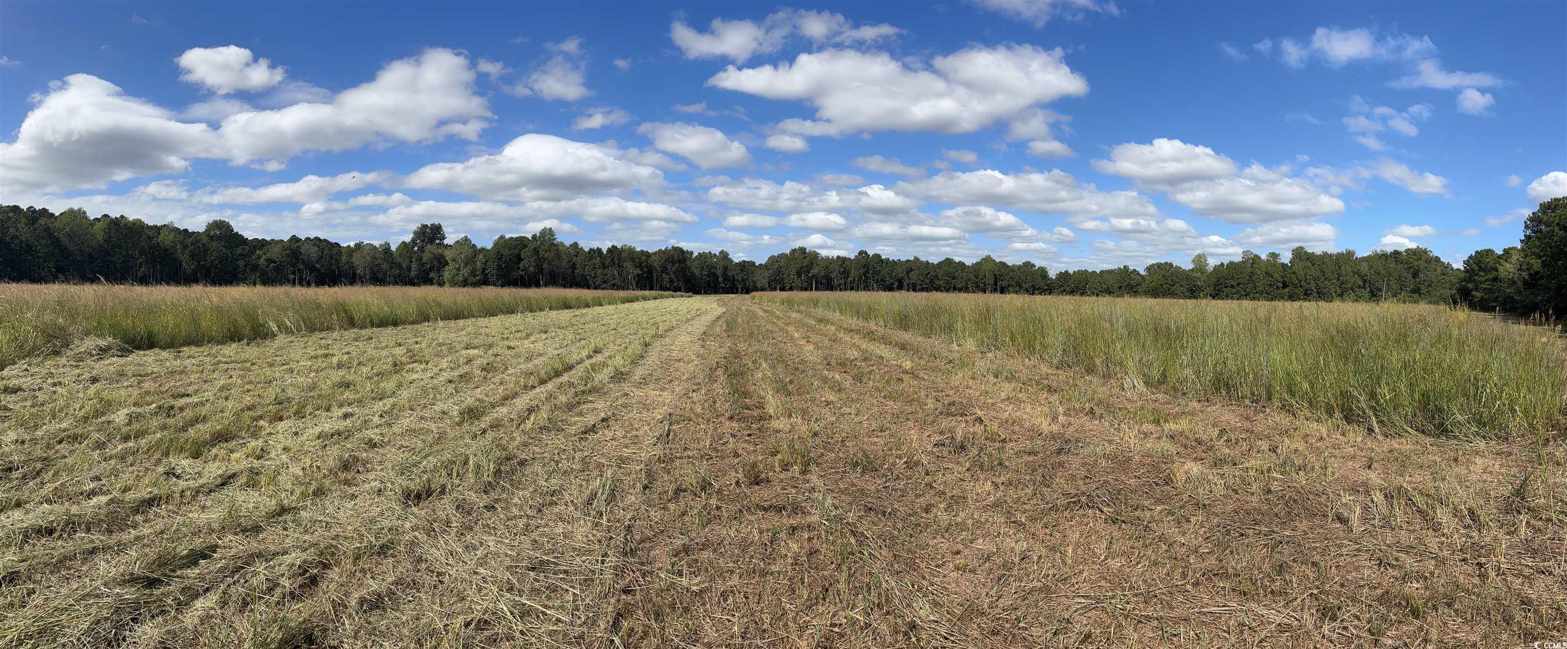 Tbd Bourne Trail Property Photo 11