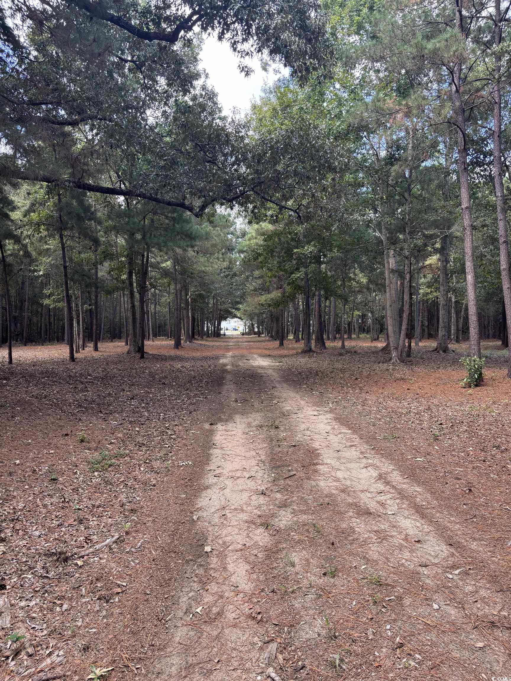 Tbd Bourne Trail Property Photo 14