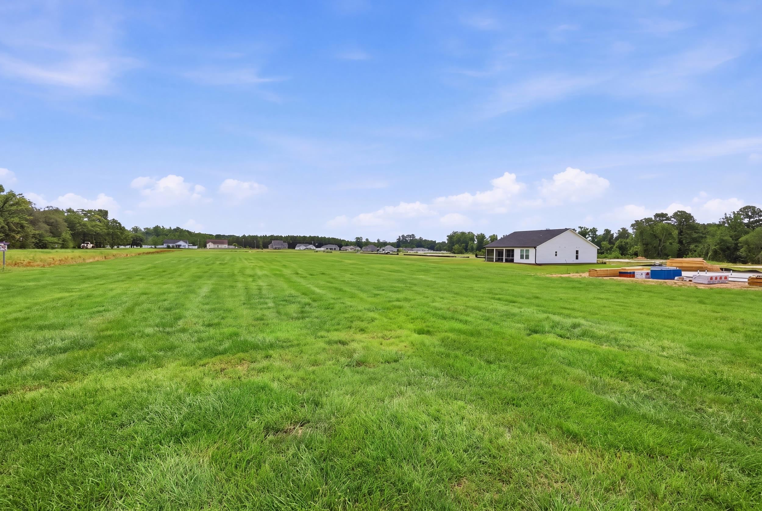 208 Blue Wing Court Property Photo 28