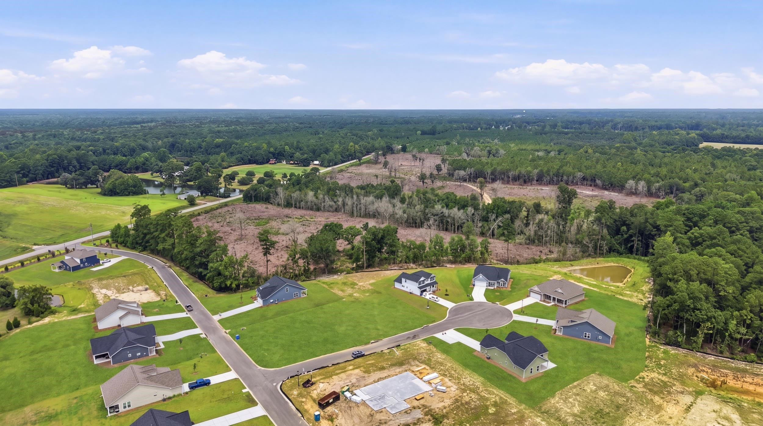 208 Blue Wing Court Property Photo 42