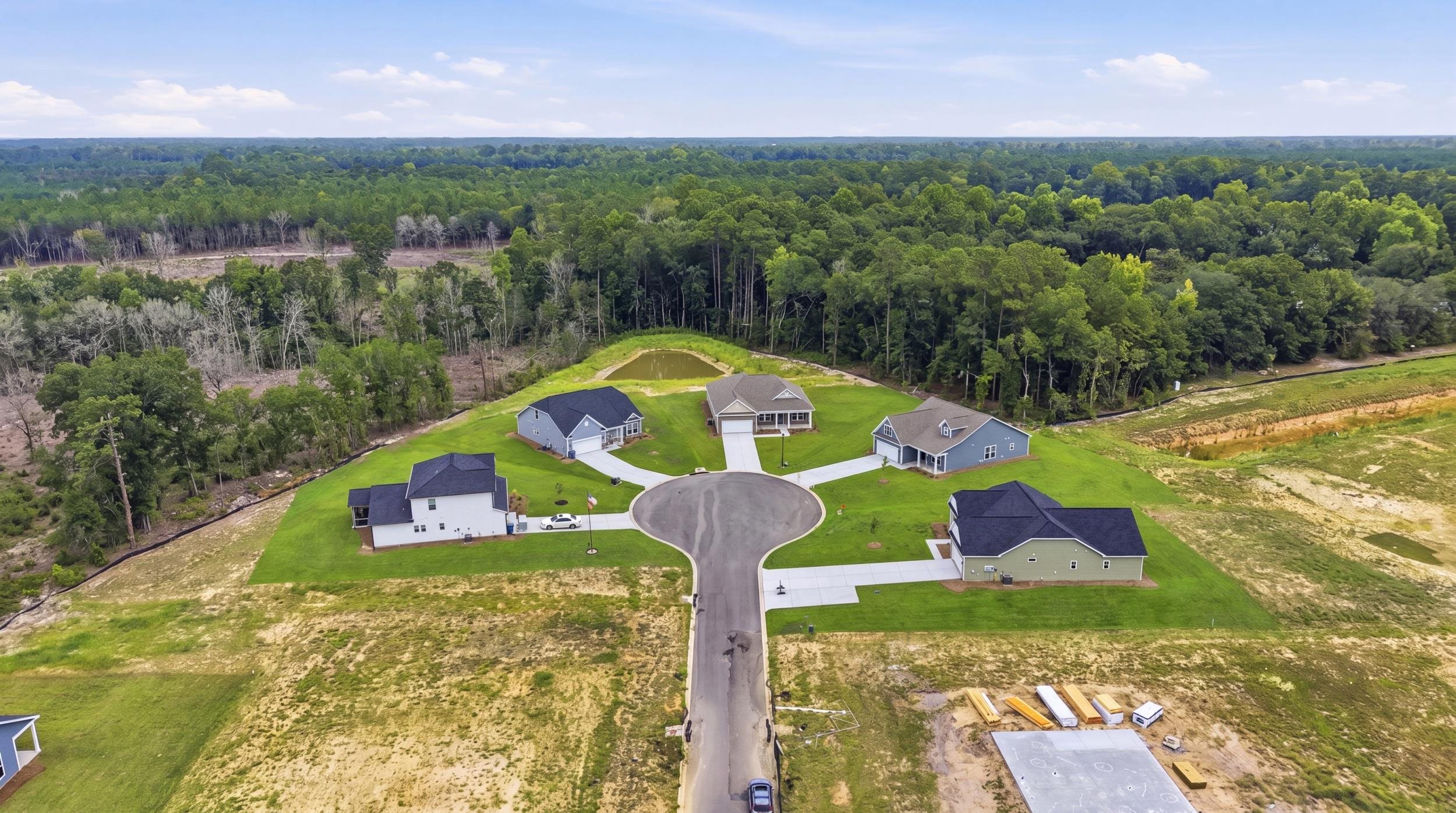 208 Blue Wing Court Property Photo 45