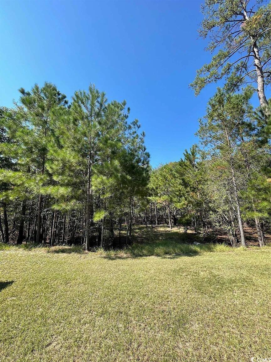 314 Cypress Flat Ct. Property Photo 1