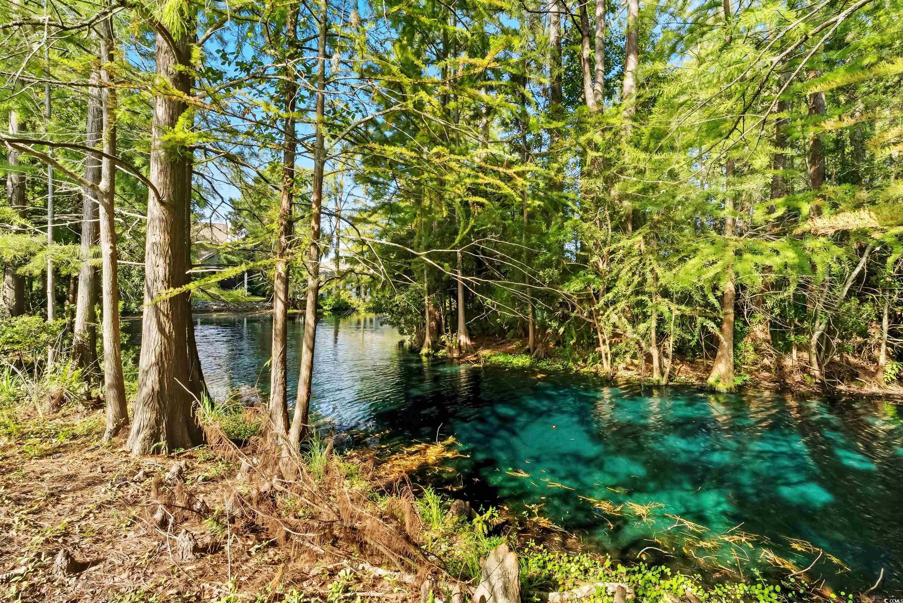 1442 Fox Hollow Way Property Photo 38