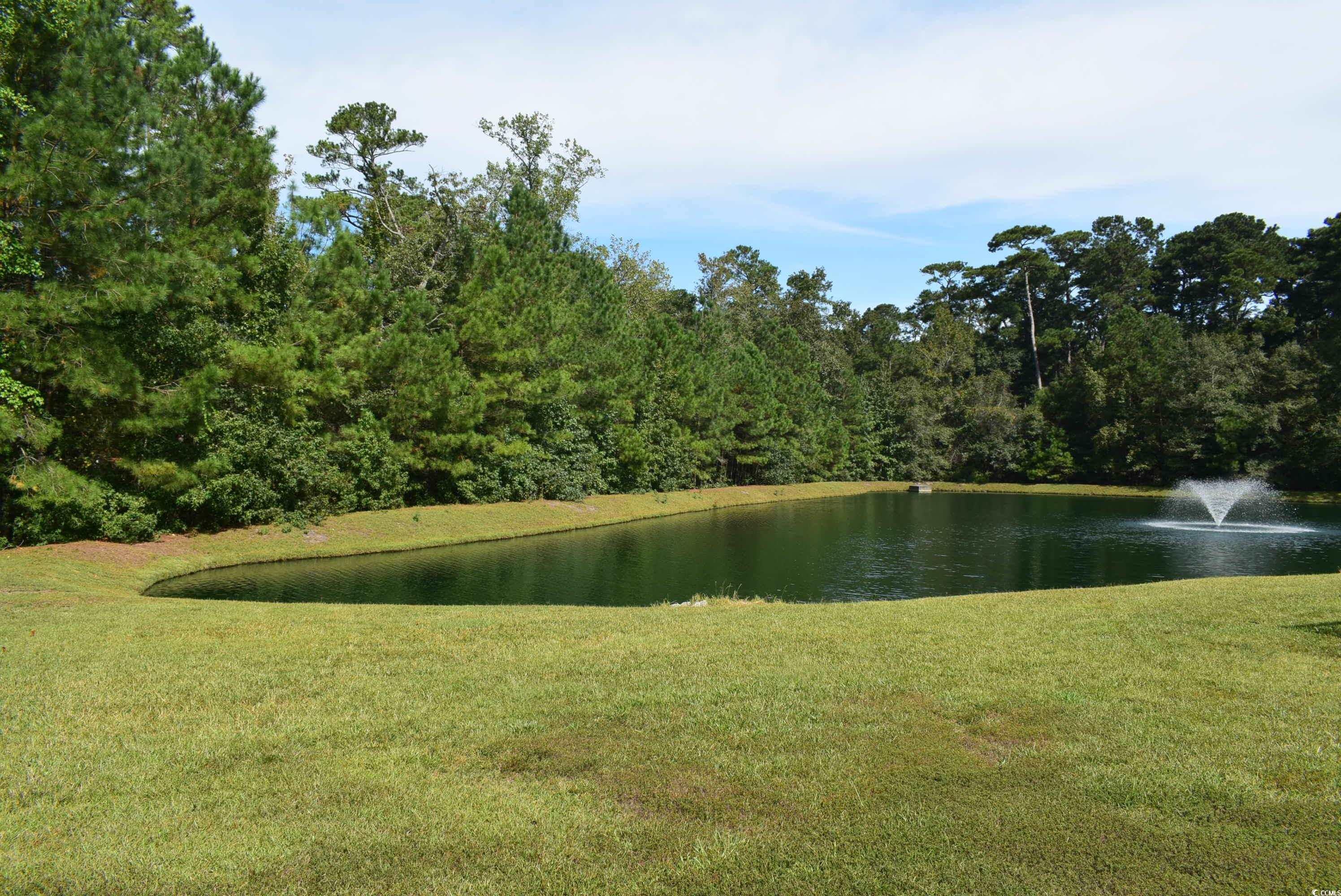 216 Rose Water Loop Property Photo 5